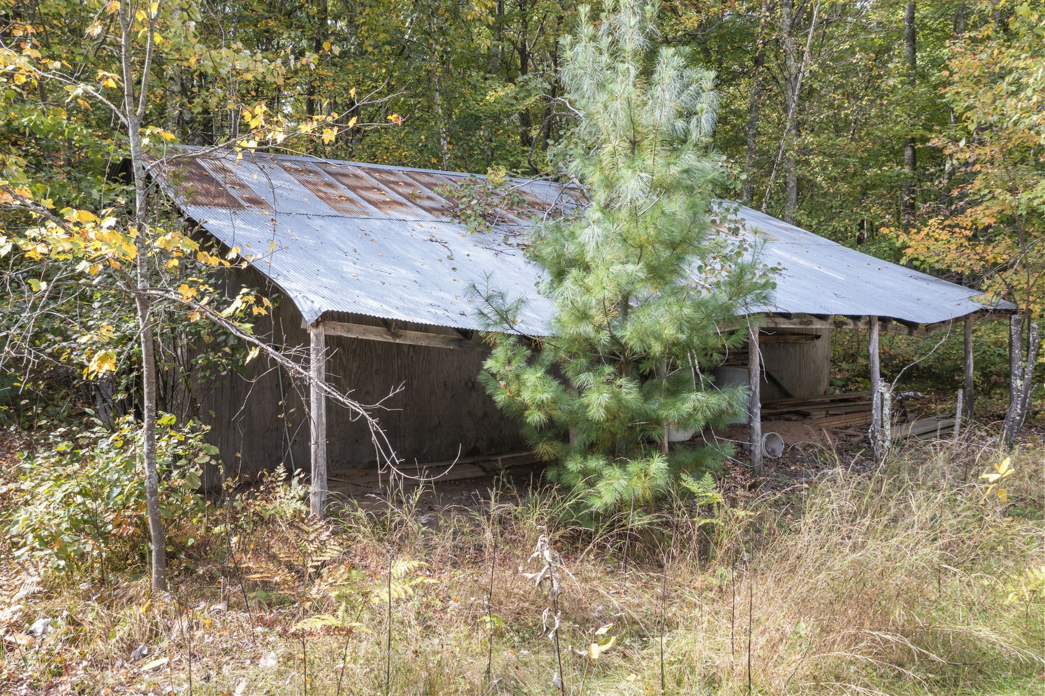 26557 Helsene Road Property Photo 45