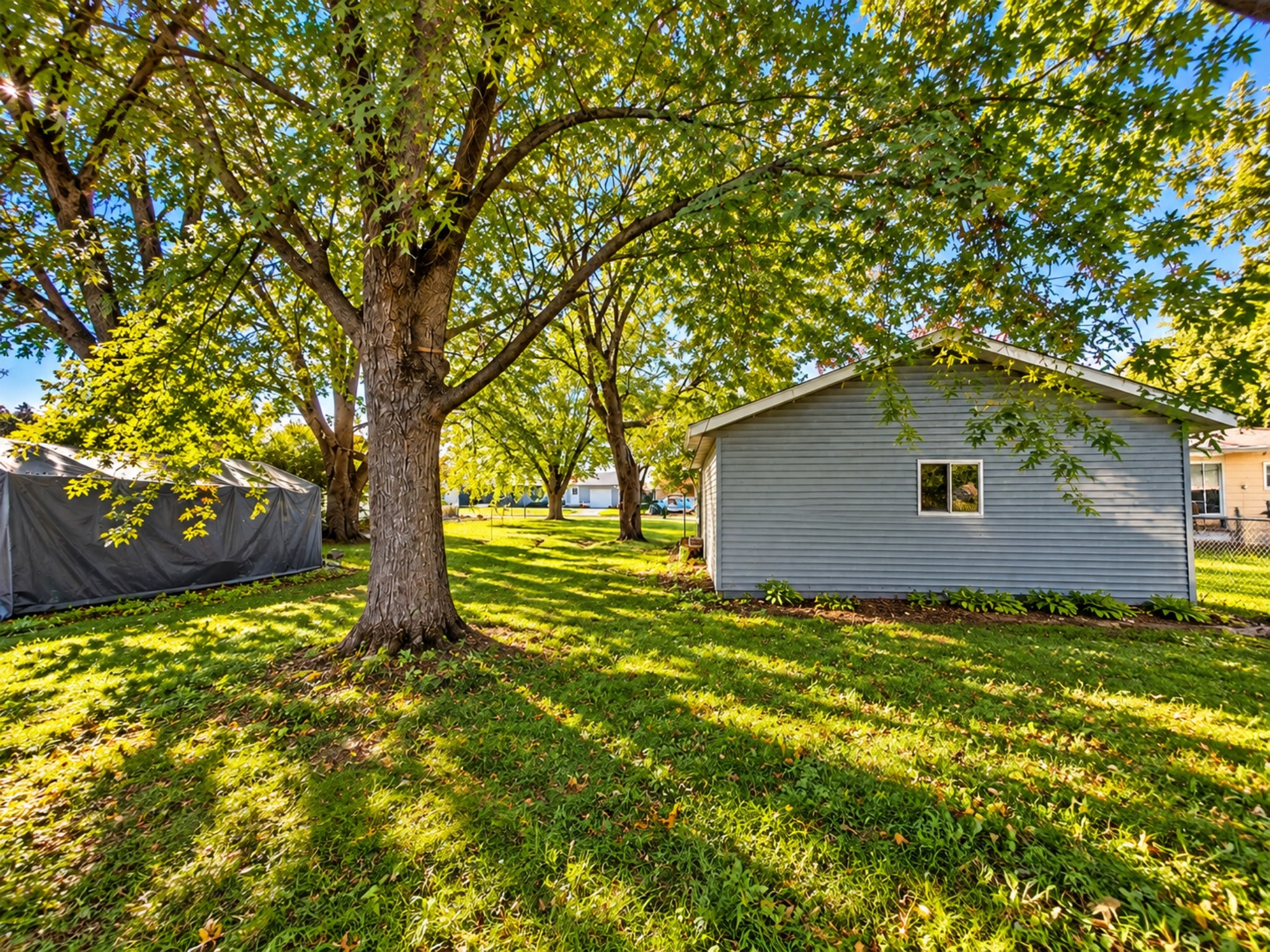 542 Roland Street Property Photo 4