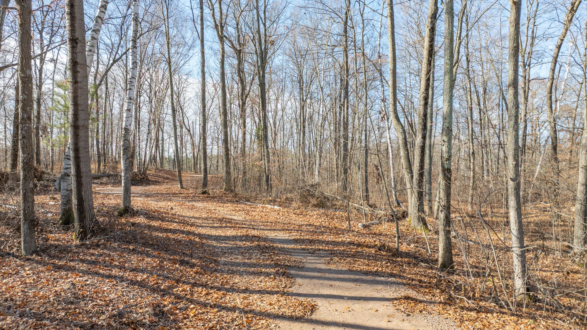 Lot 1 On 290th Avenue Property Photo 2