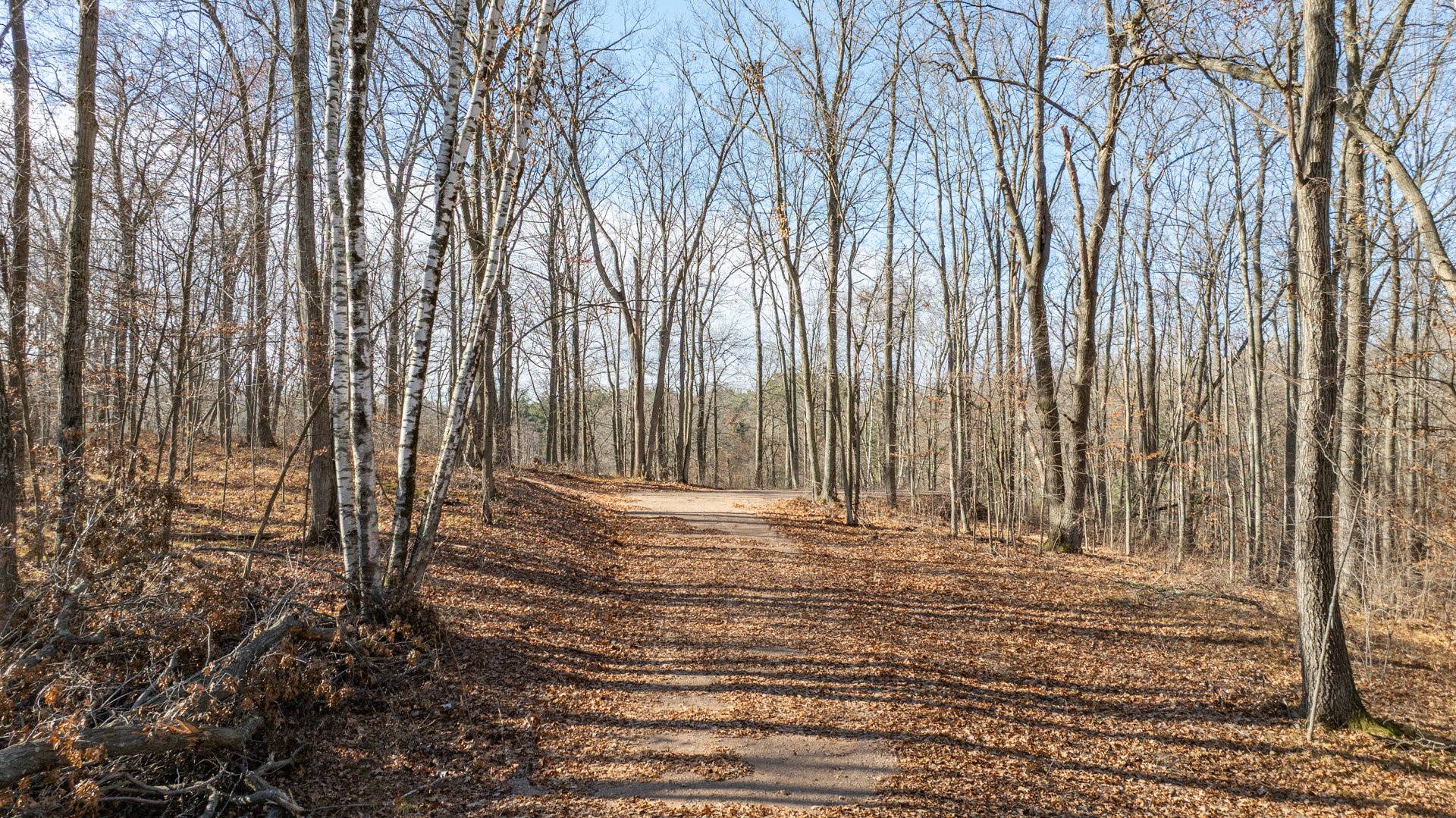 Lot 1 On 290th Avenue Property Photo 3