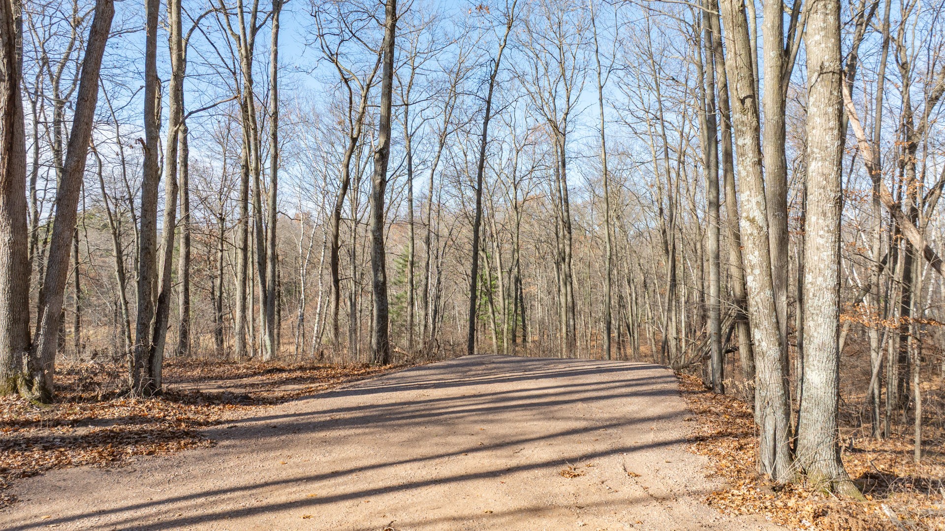 Lot 1 On 290th Avenue Property Photo 4