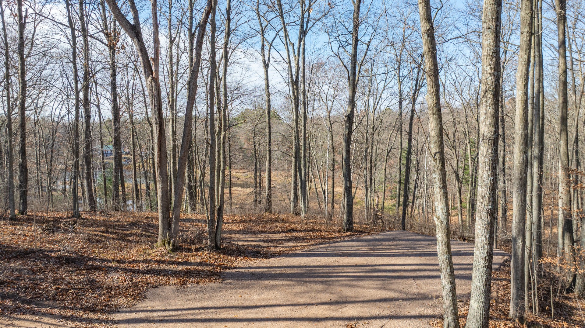 Lot 1 On 290th Avenue Property Photo 6