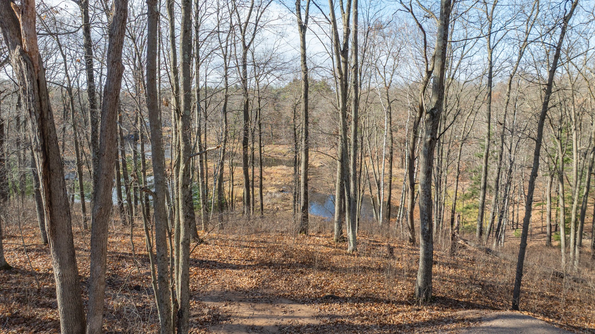 Lot 1 On 290th Avenue Property Photo 7