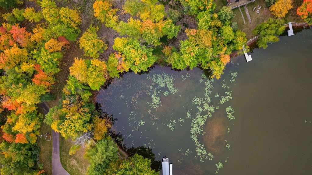 Lot 2 Nelson Lake Road Property Photo 9