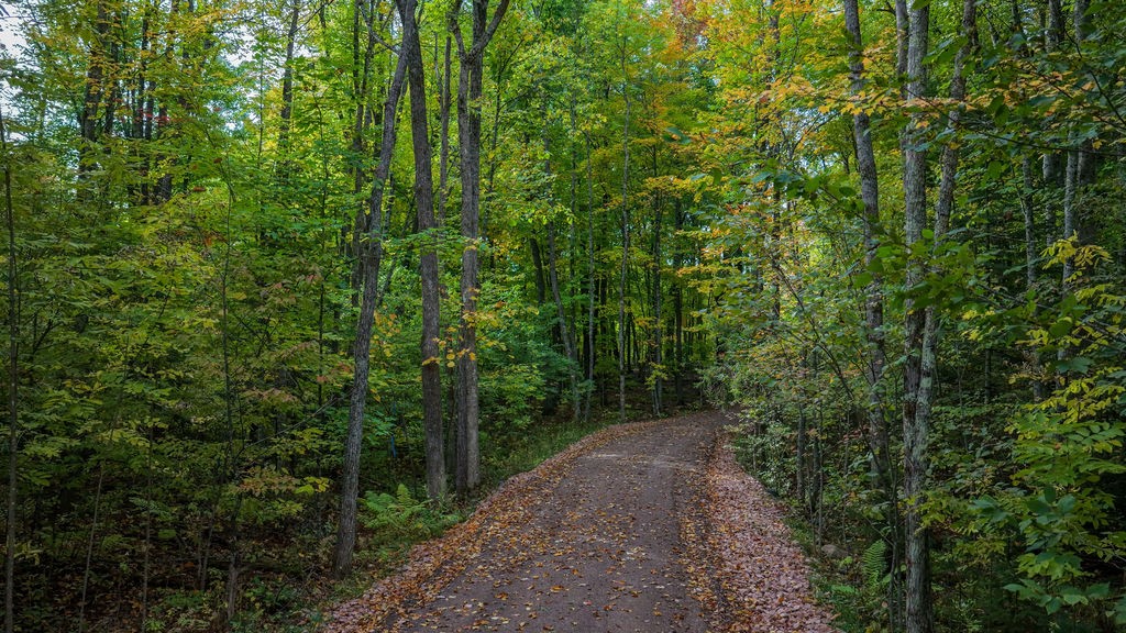 Lot 2 Nelson Lake Road Property Photo 17