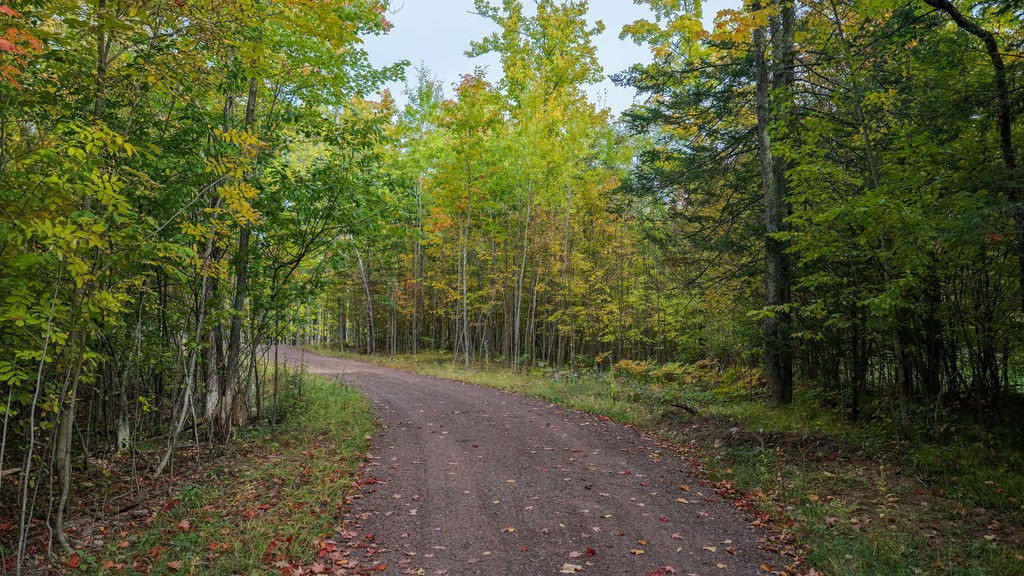 Lot 2 Nelson Lake Road Property Photo 18