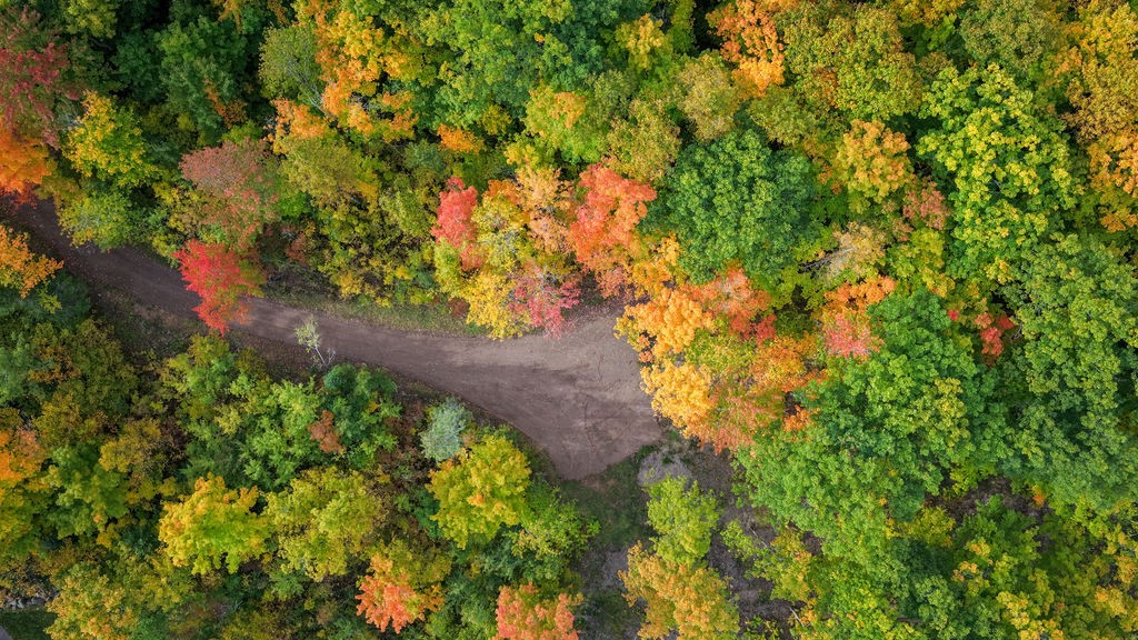 Lot 2 Nelson Lake Road Property Photo 19