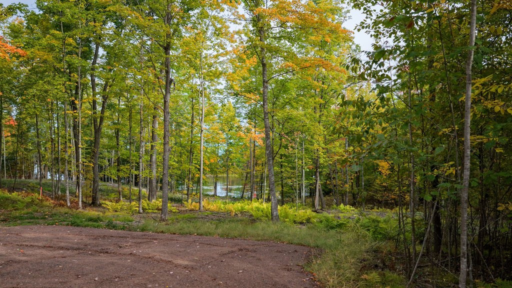 Lot 2 Nelson Lake Road Property Photo 20