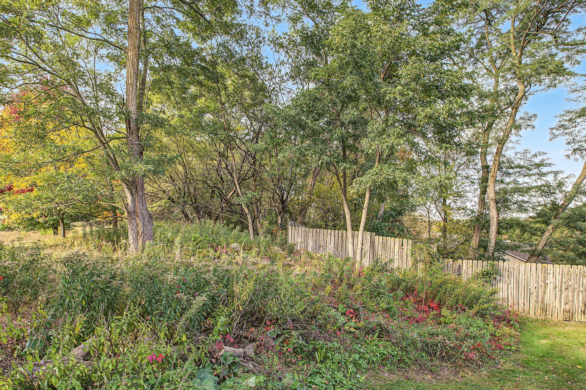 5328 Prill Road A Property Photo 8