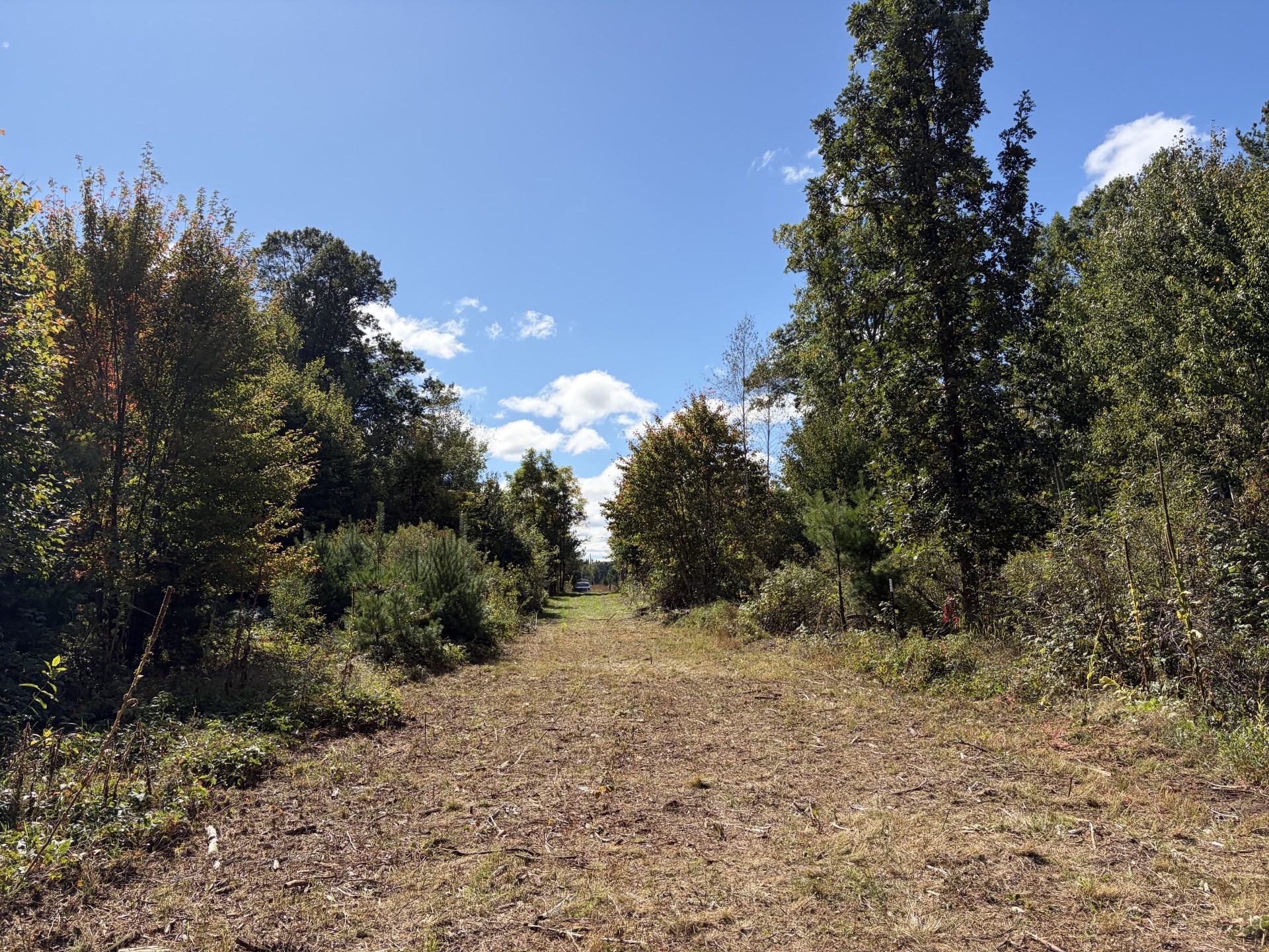 Xxx Bluebird Trail Property Photo 2