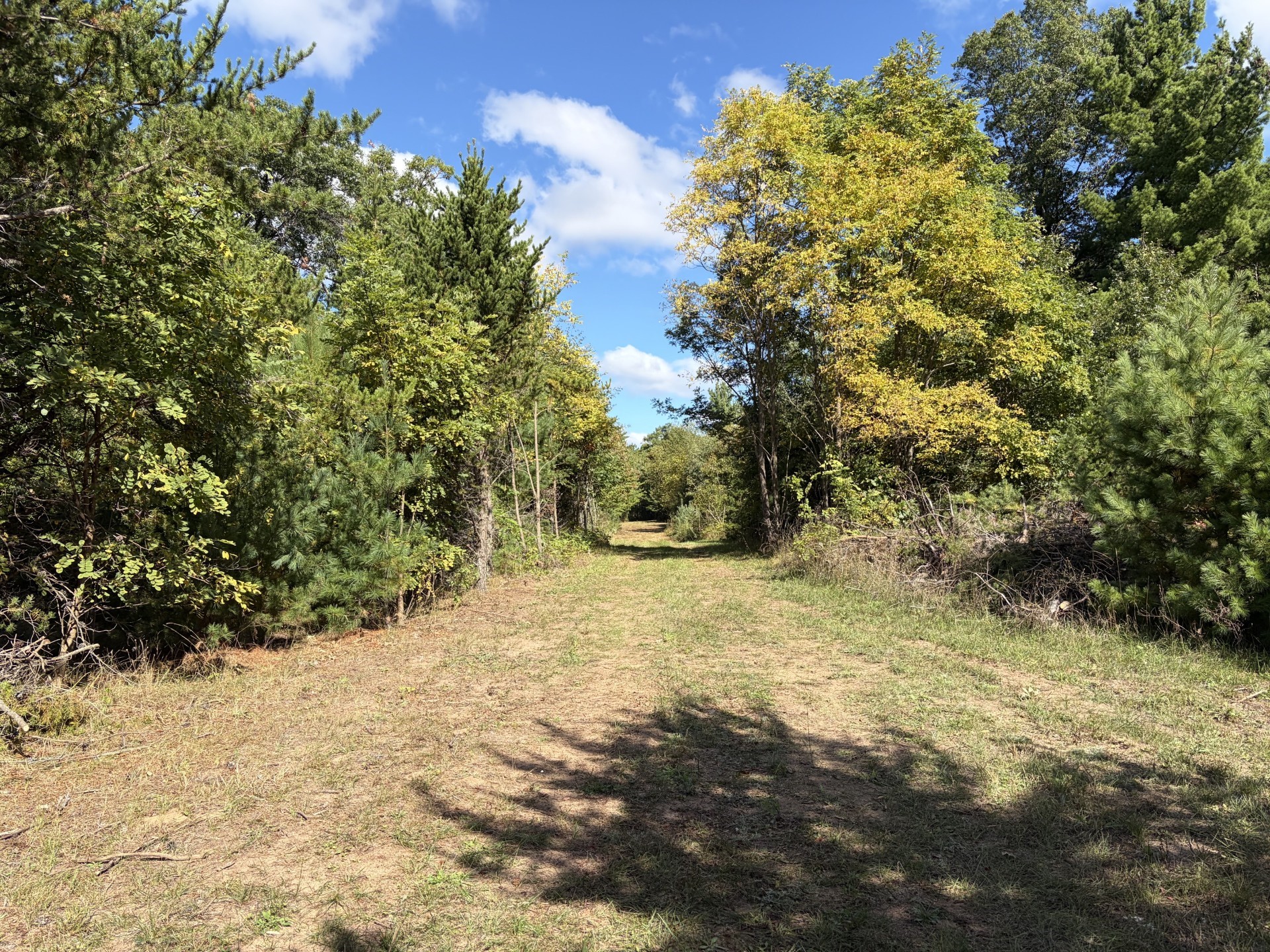 Xxx Bluebird Trail Property Photo 3