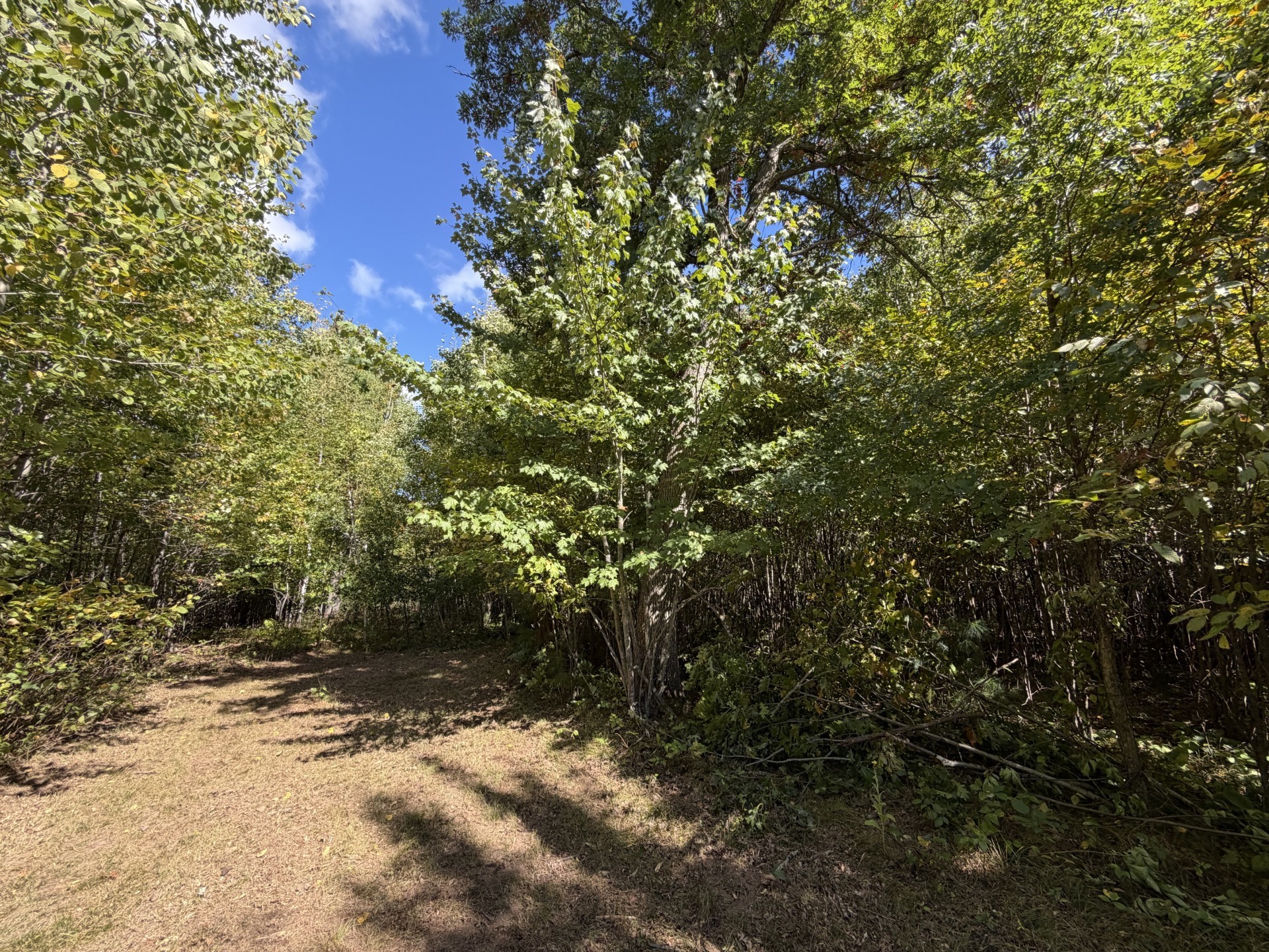 Xxx Bluebird Trail Property Photo 4