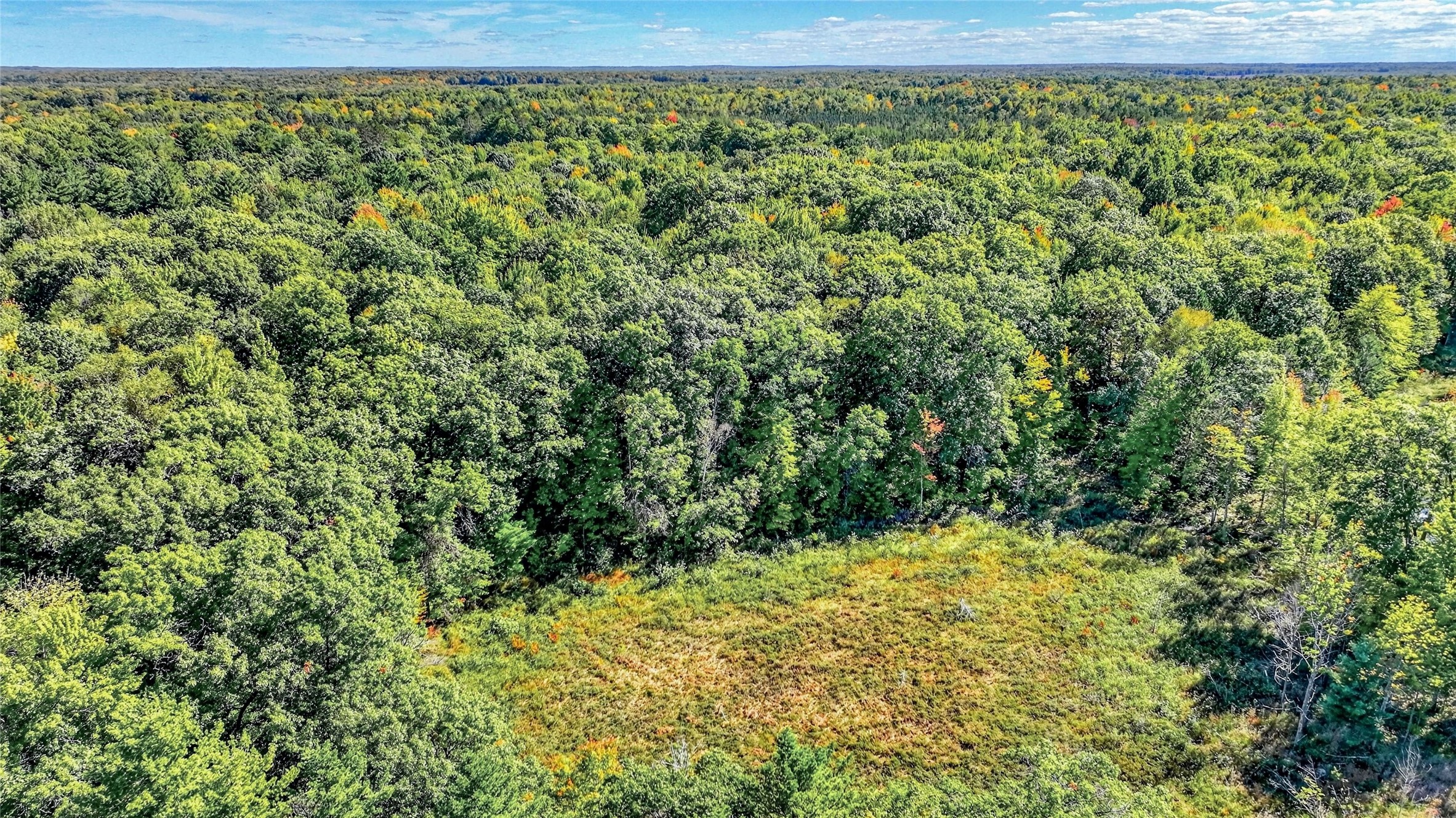 Lot 2 On 290th Avenue Property Photo 8