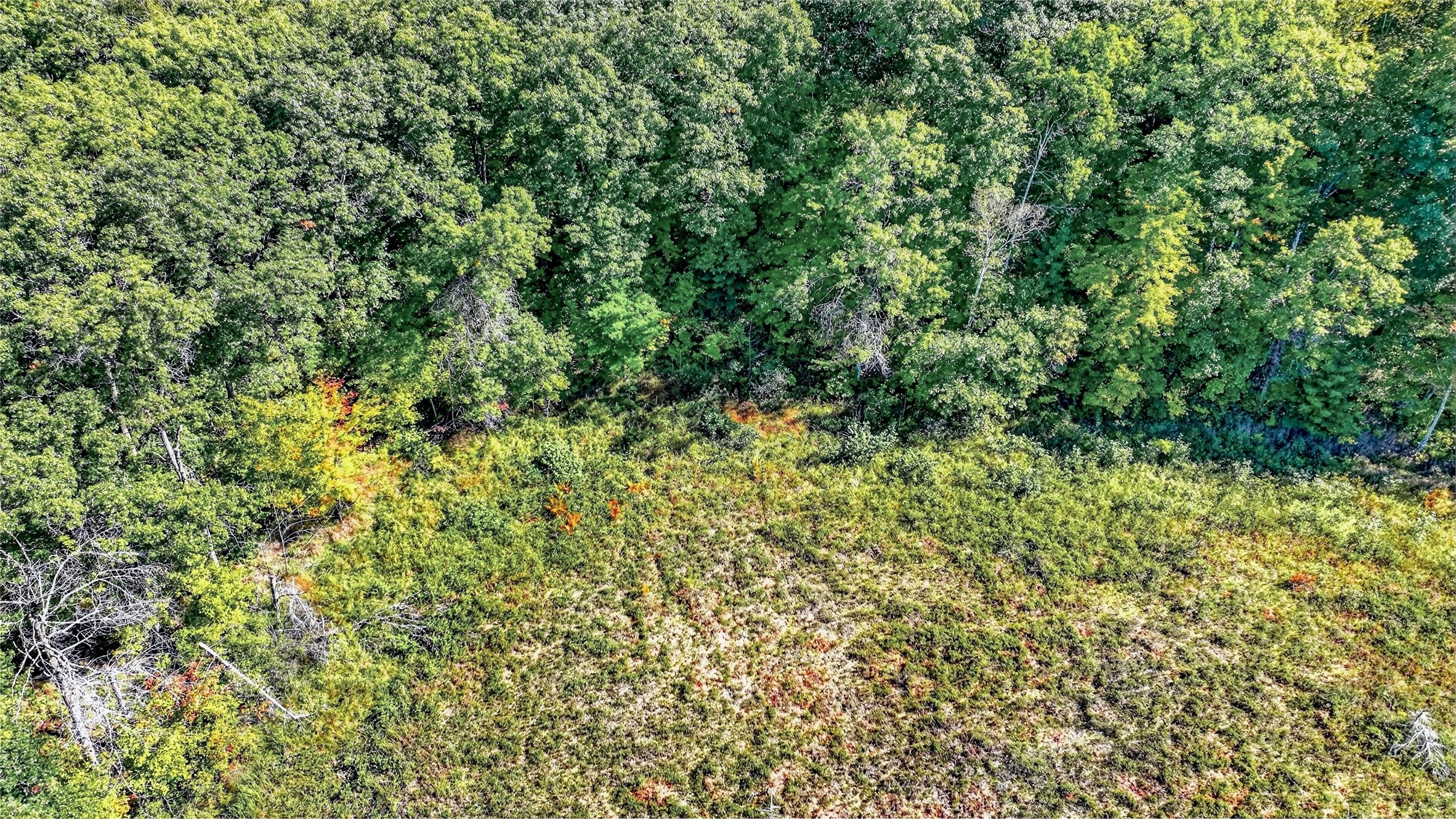 Lot 3 On 290th Avenue Property Photo 9