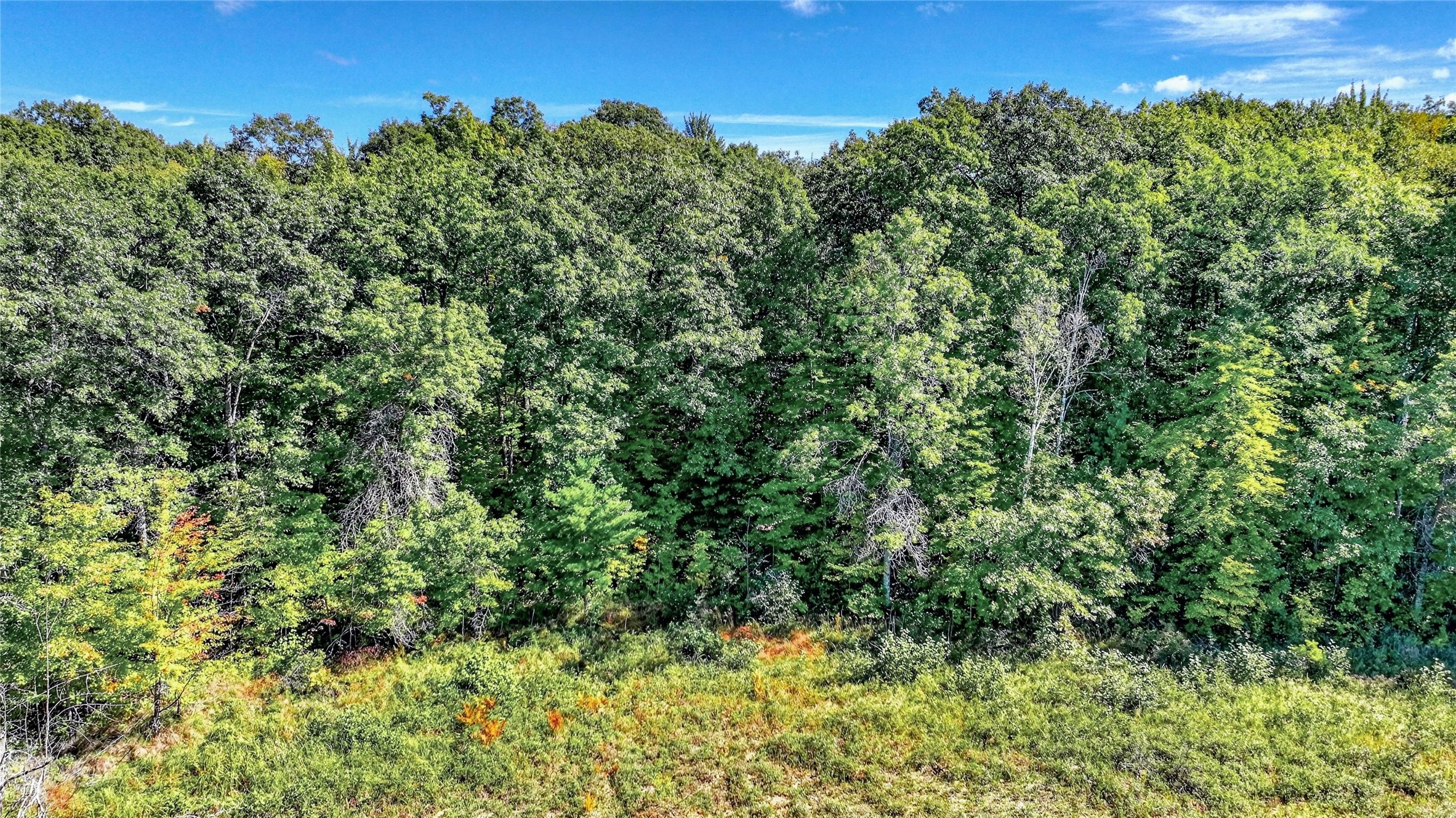 Lot 3 On 290th Avenue Property Photo 10