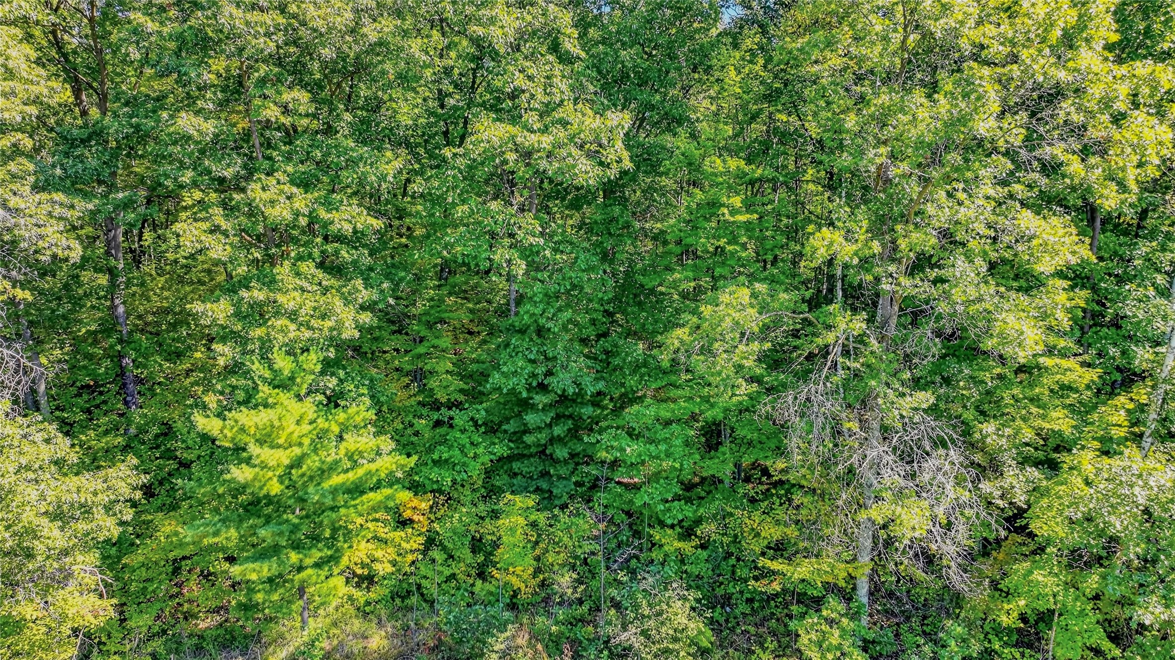 Lot 3 On 290th Avenue Property Photo 11