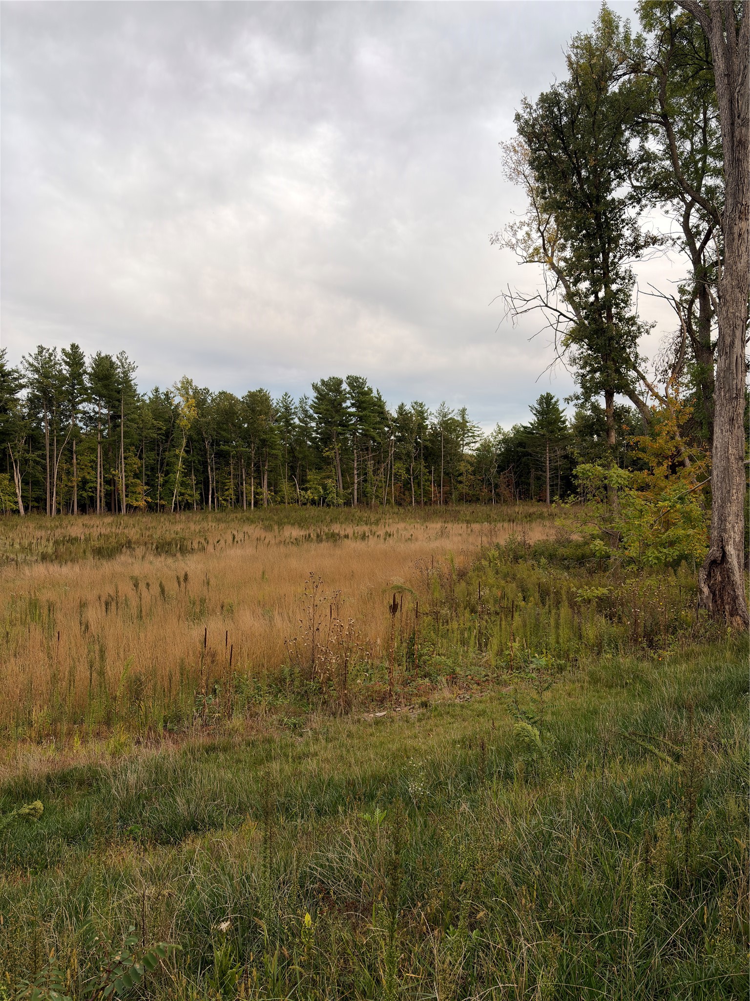 2551 S Wisconsin Avenue Property Photo 12