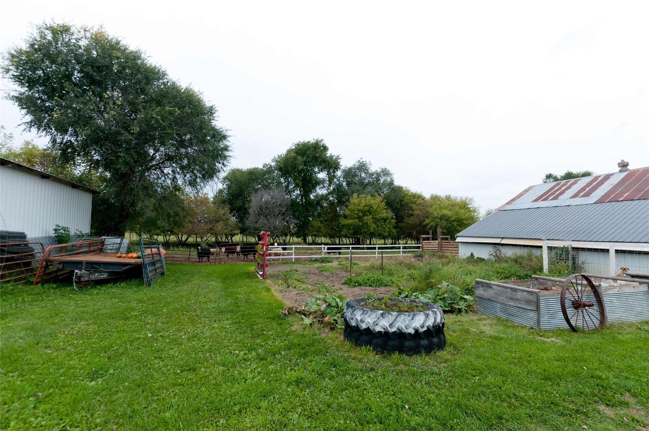 986 9th Street Property Photo 17