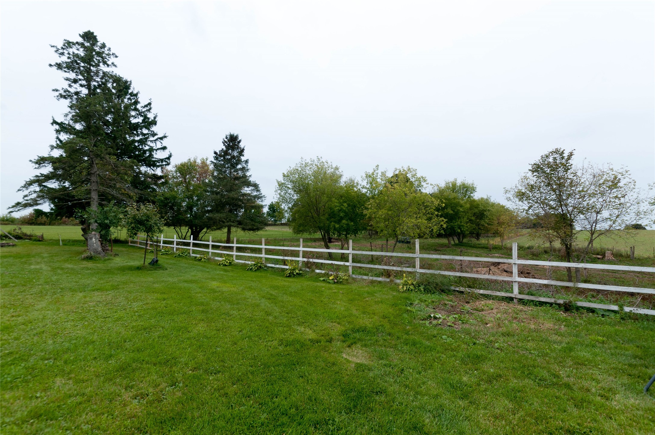 986 9th Street Property Photo 18