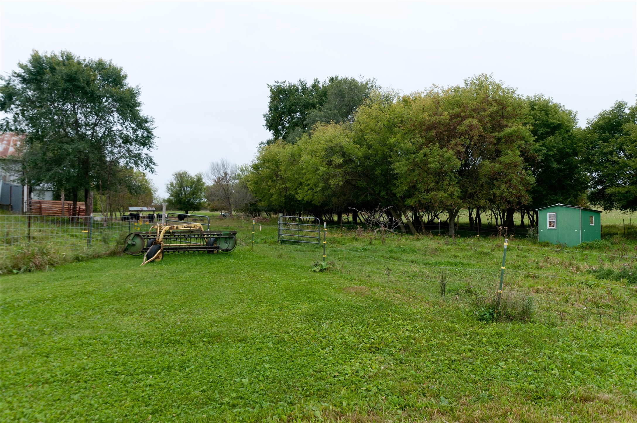 986 9th Street Property Photo 23