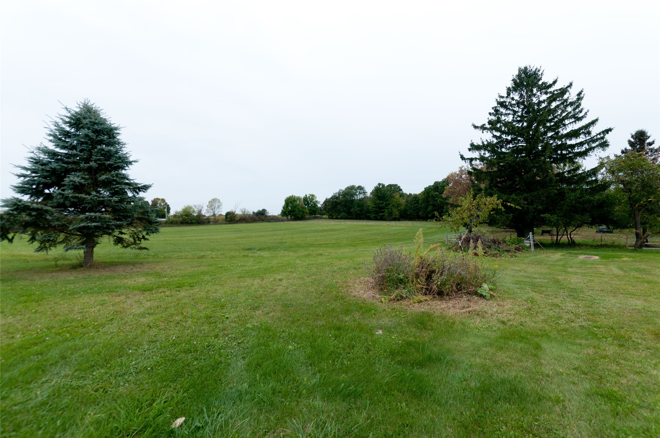 986 9th Street Property Photo 25