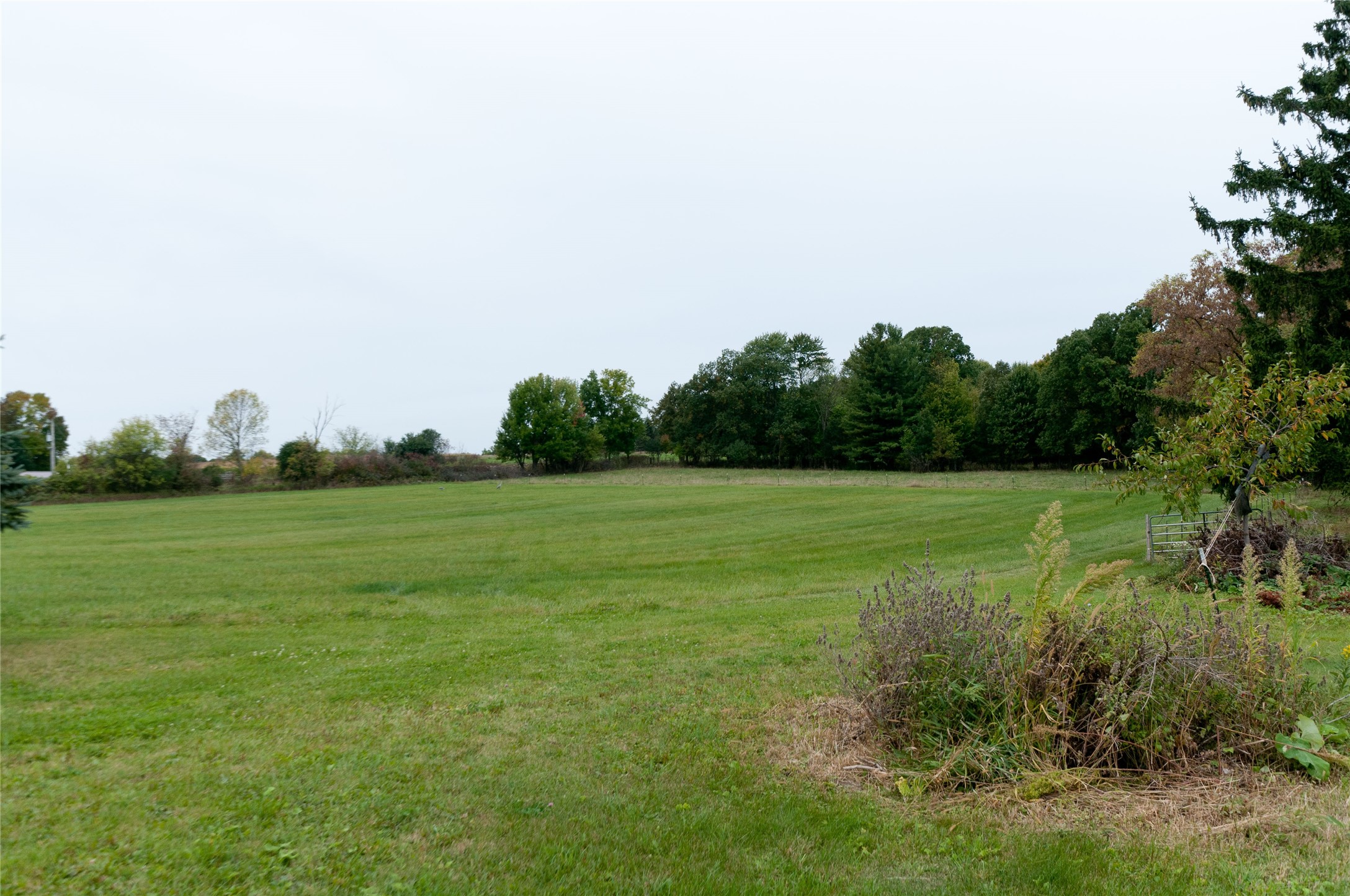 986 9th Street Property Photo 26