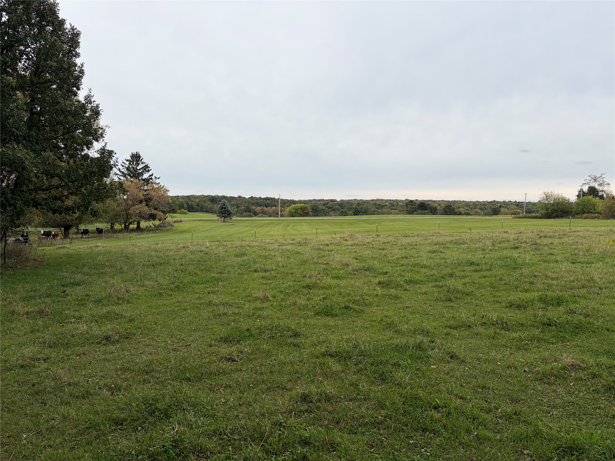 986 9th Street Property Photo 27