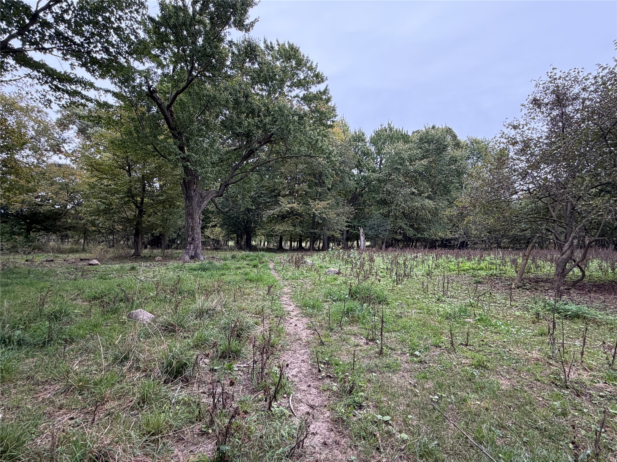986 9th Street Property Photo 28