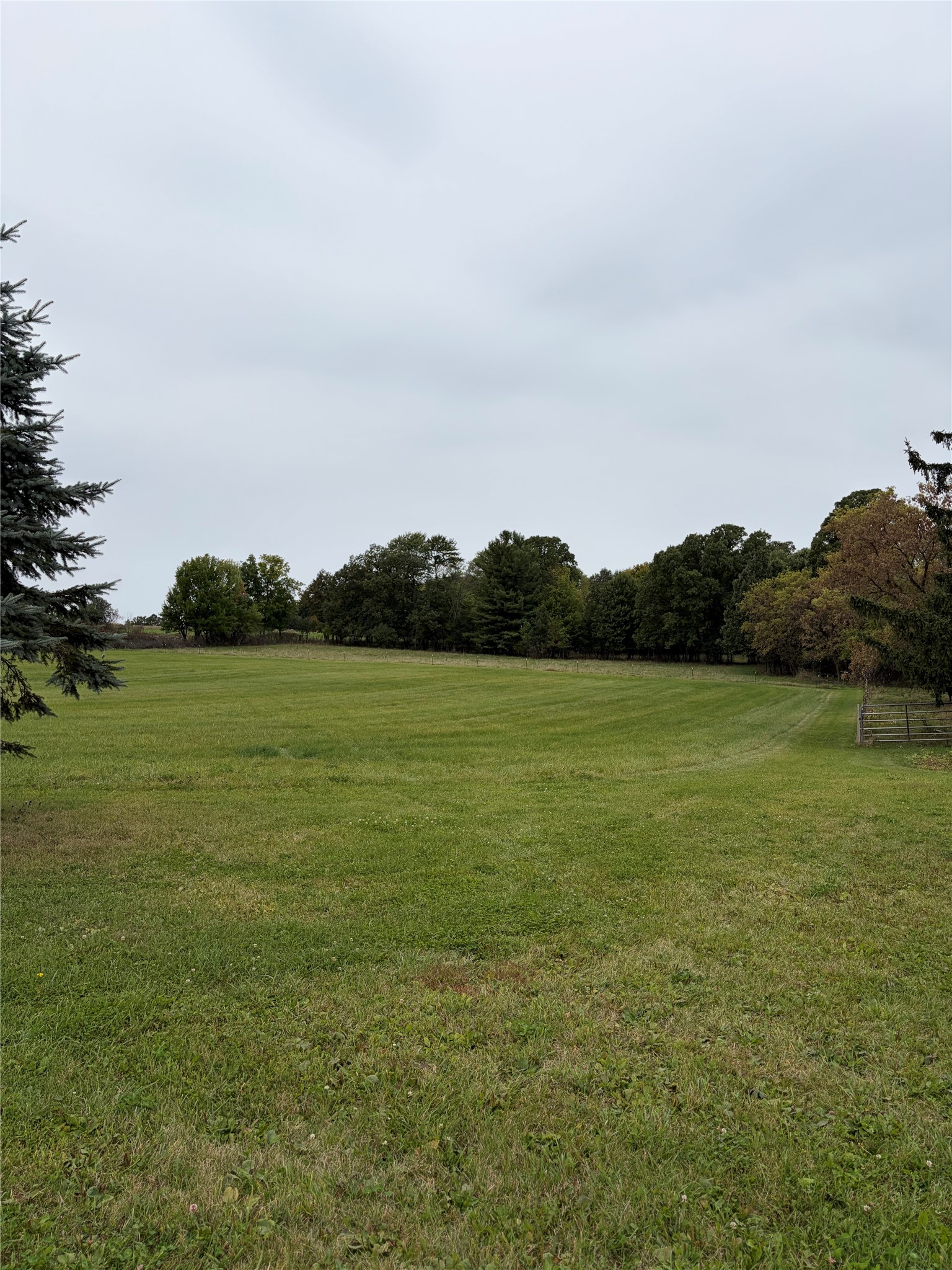 986 9th Street Property Photo 29