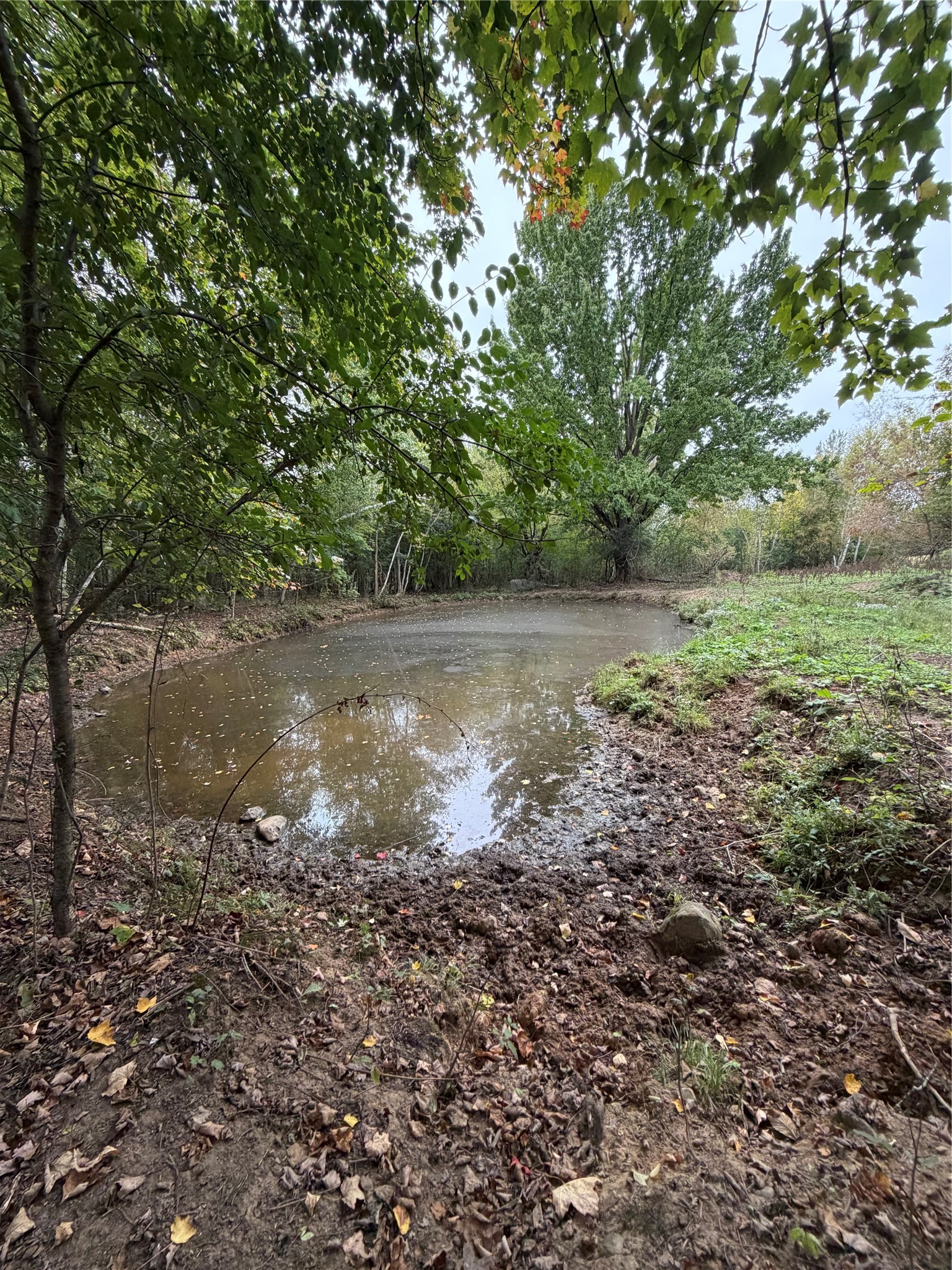 986 9th Street Property Photo 32