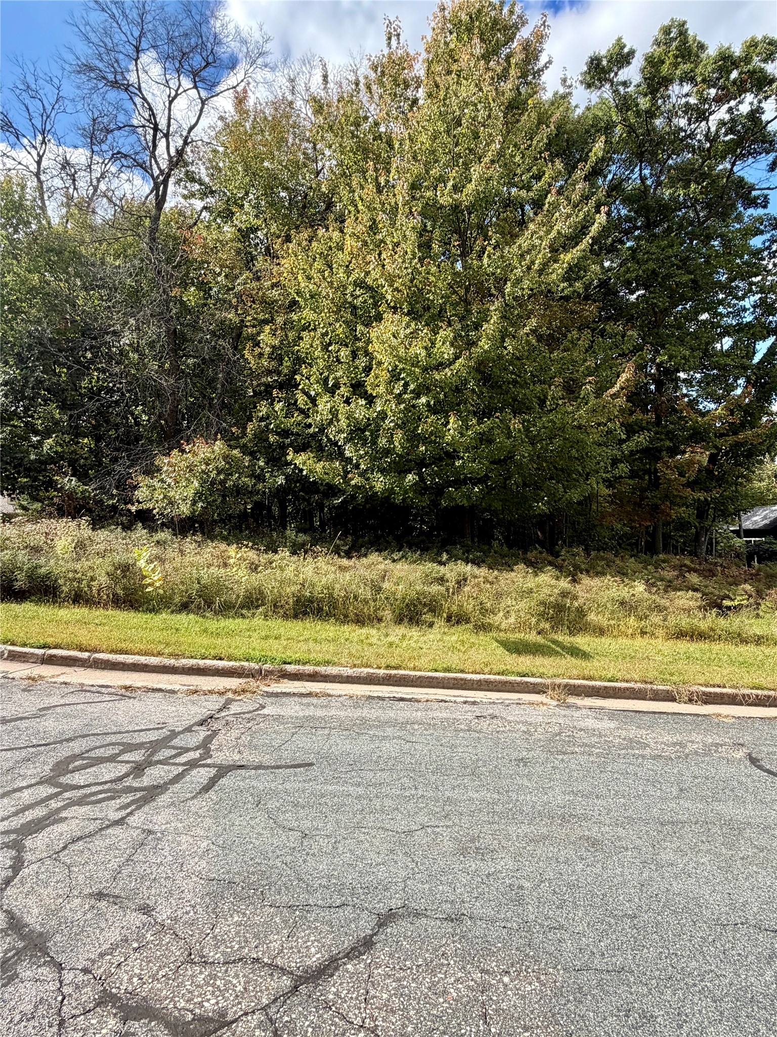 2514 Eagle Terrace Property Photo 3