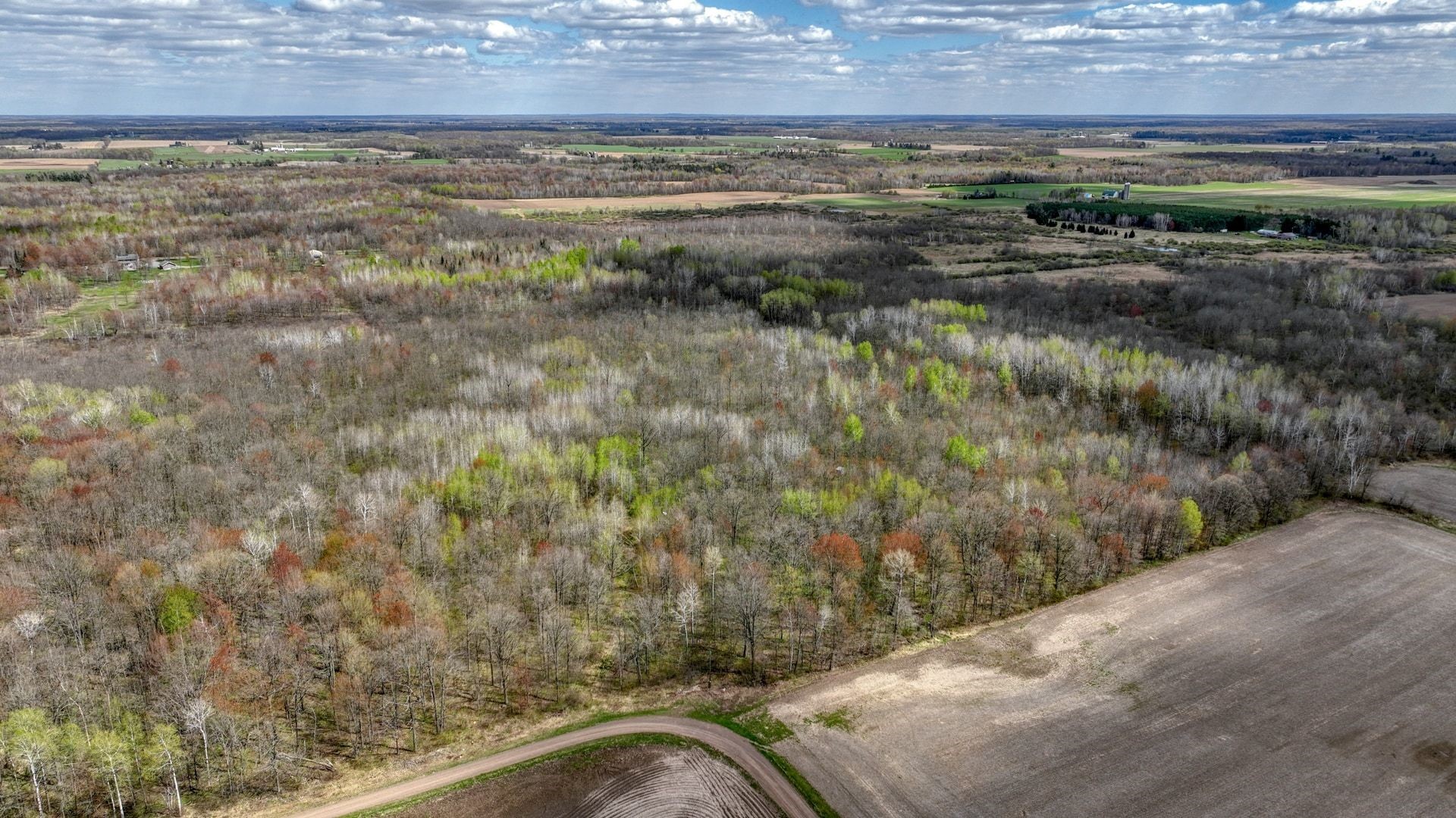 27.6 Acres Off Helena Drive Property Photo 4