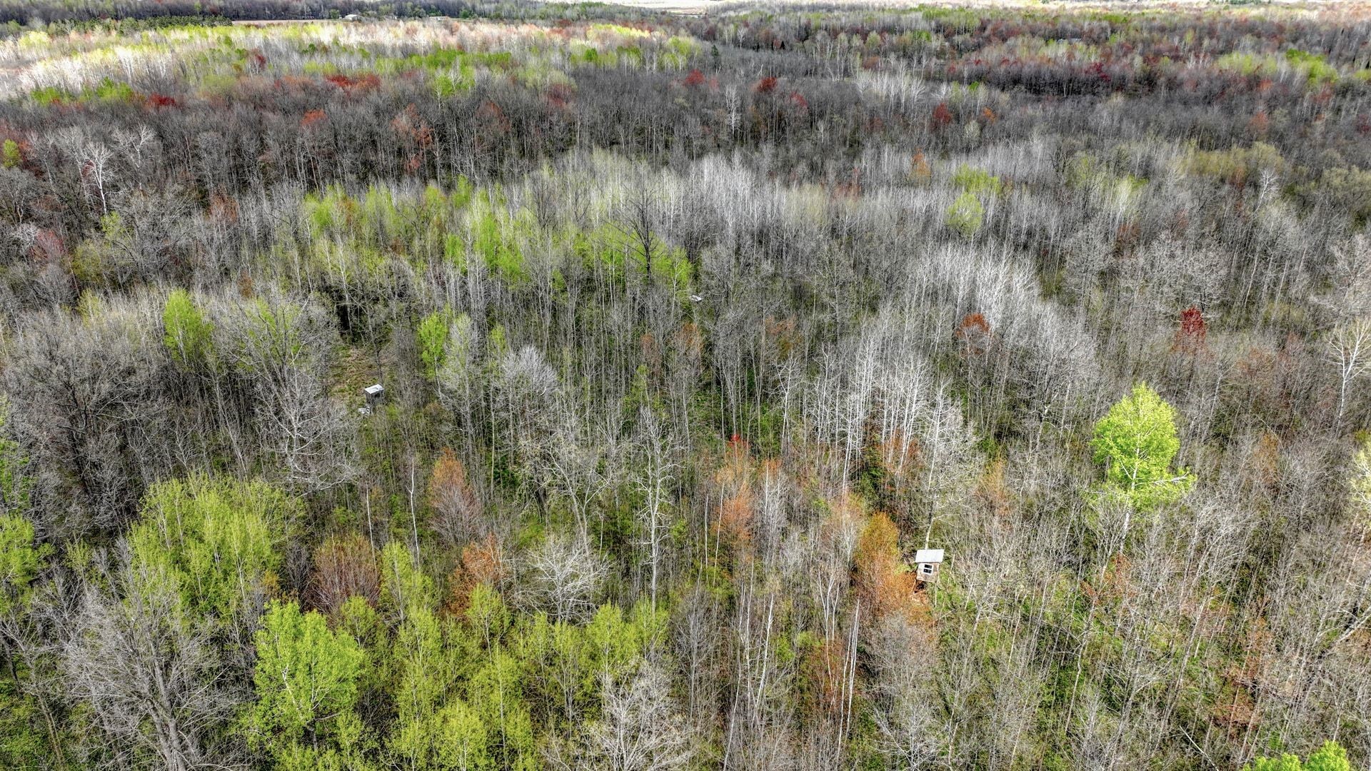 27.6 Acres Off Helena Drive Property Photo 5