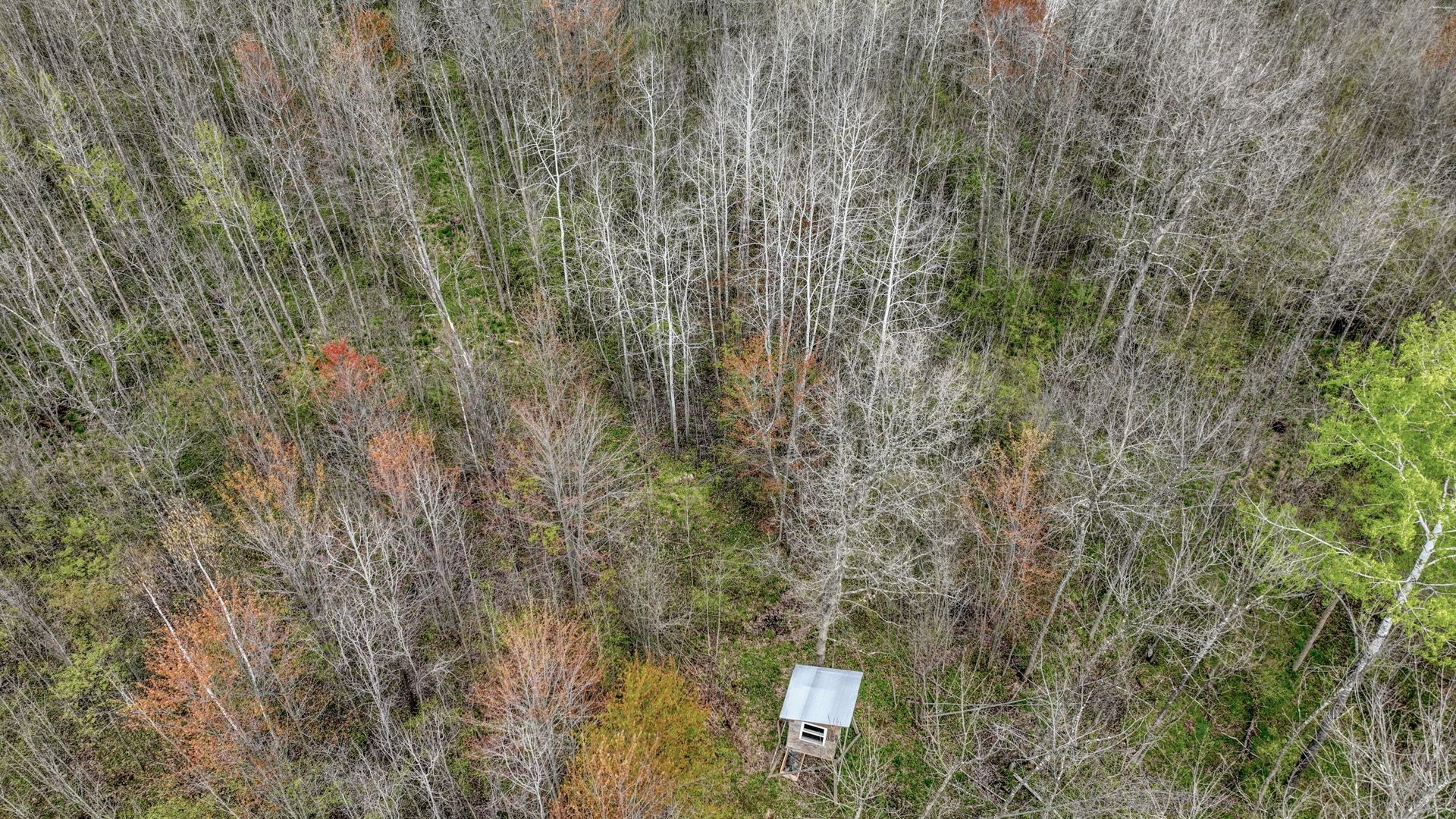 27.6 Acres Off Helena Drive Property Photo 6