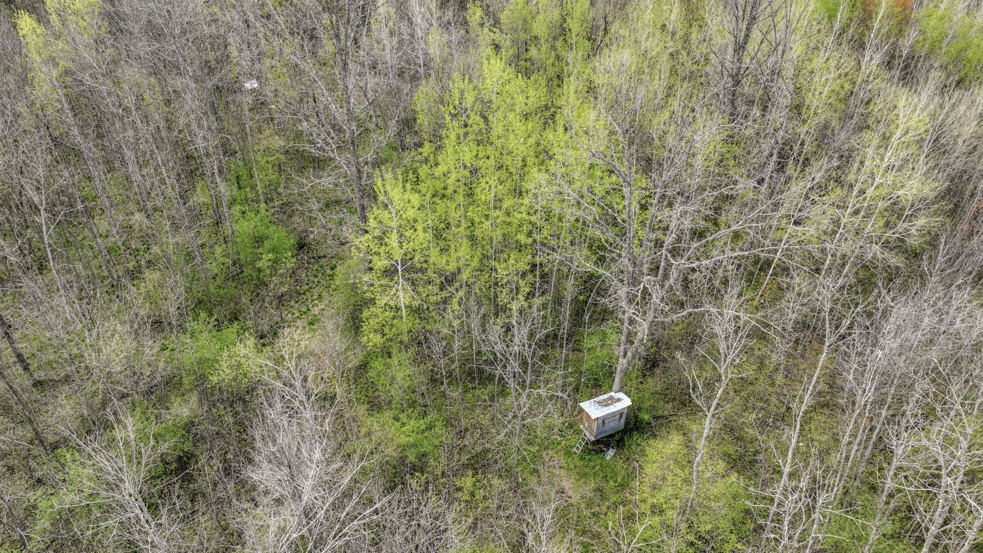 27.6 Acres Off Helena Drive Property Photo 7