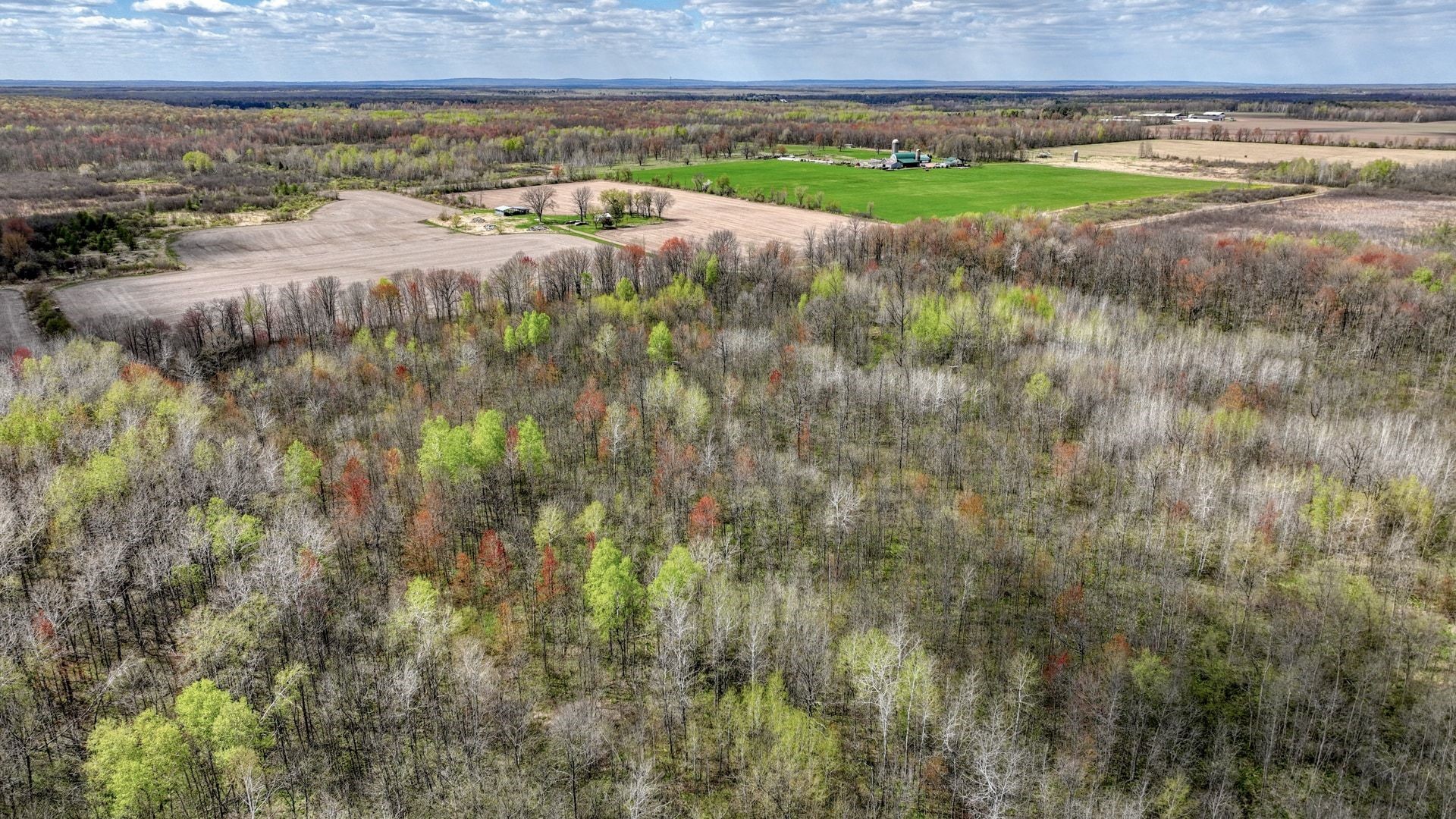27.6 Acres Off Helena Drive Property Photo 9