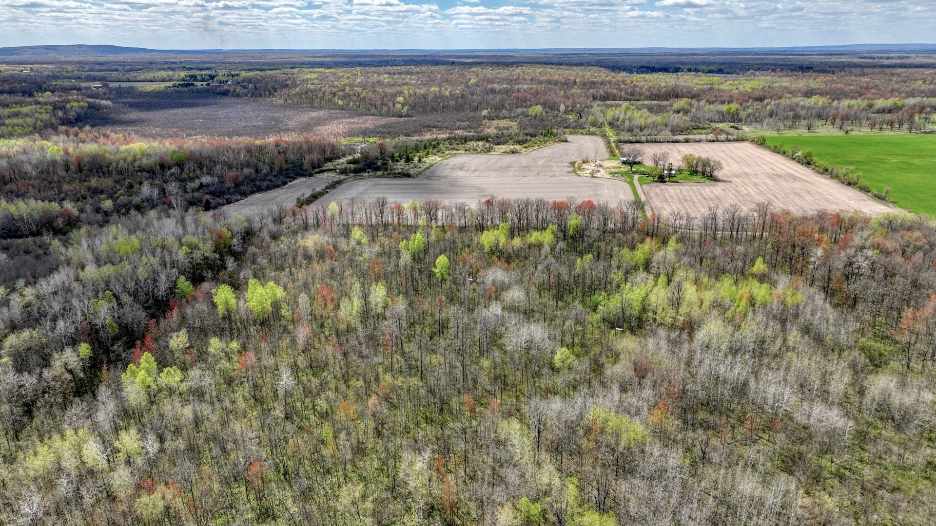 27.6 Acres Off Helena Drive Property Photo 11