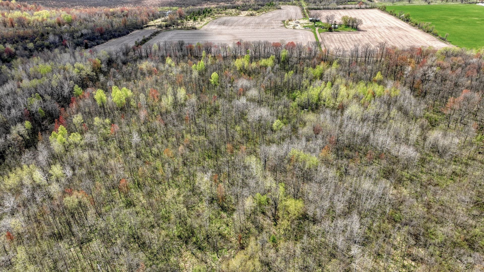 27.6 Acres Off Helena Drive Property Photo 12