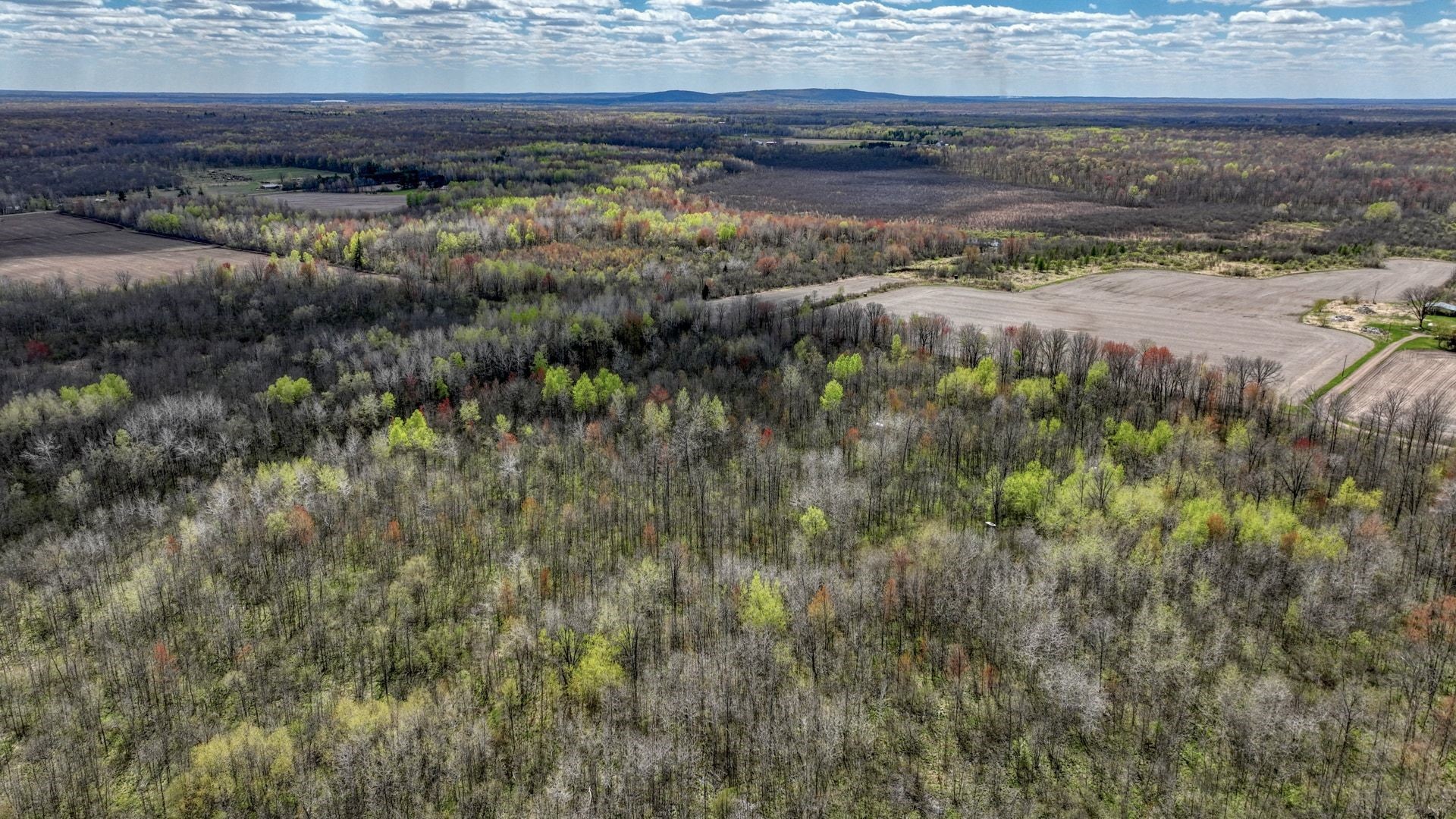 27.6 Acres Off Helena Drive Property Photo 14