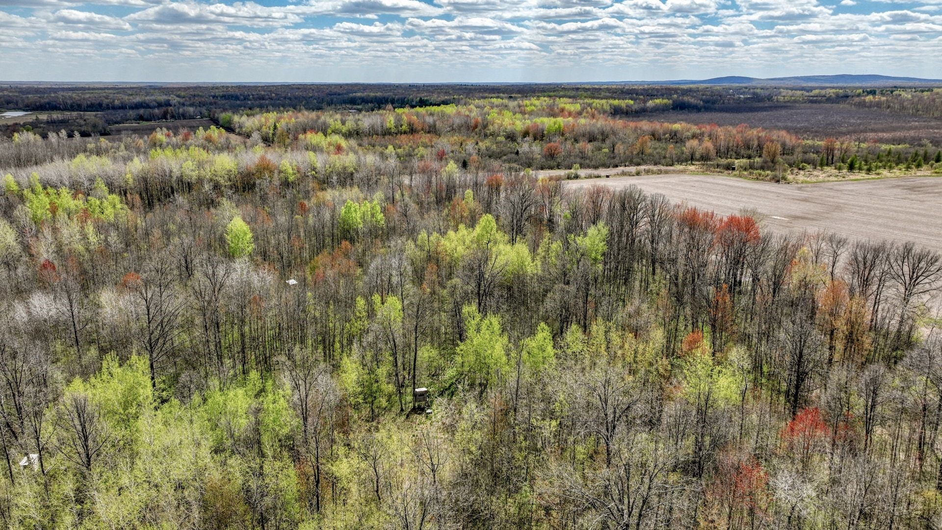 27.6 Acres Off Helena Drive Property Photo 15