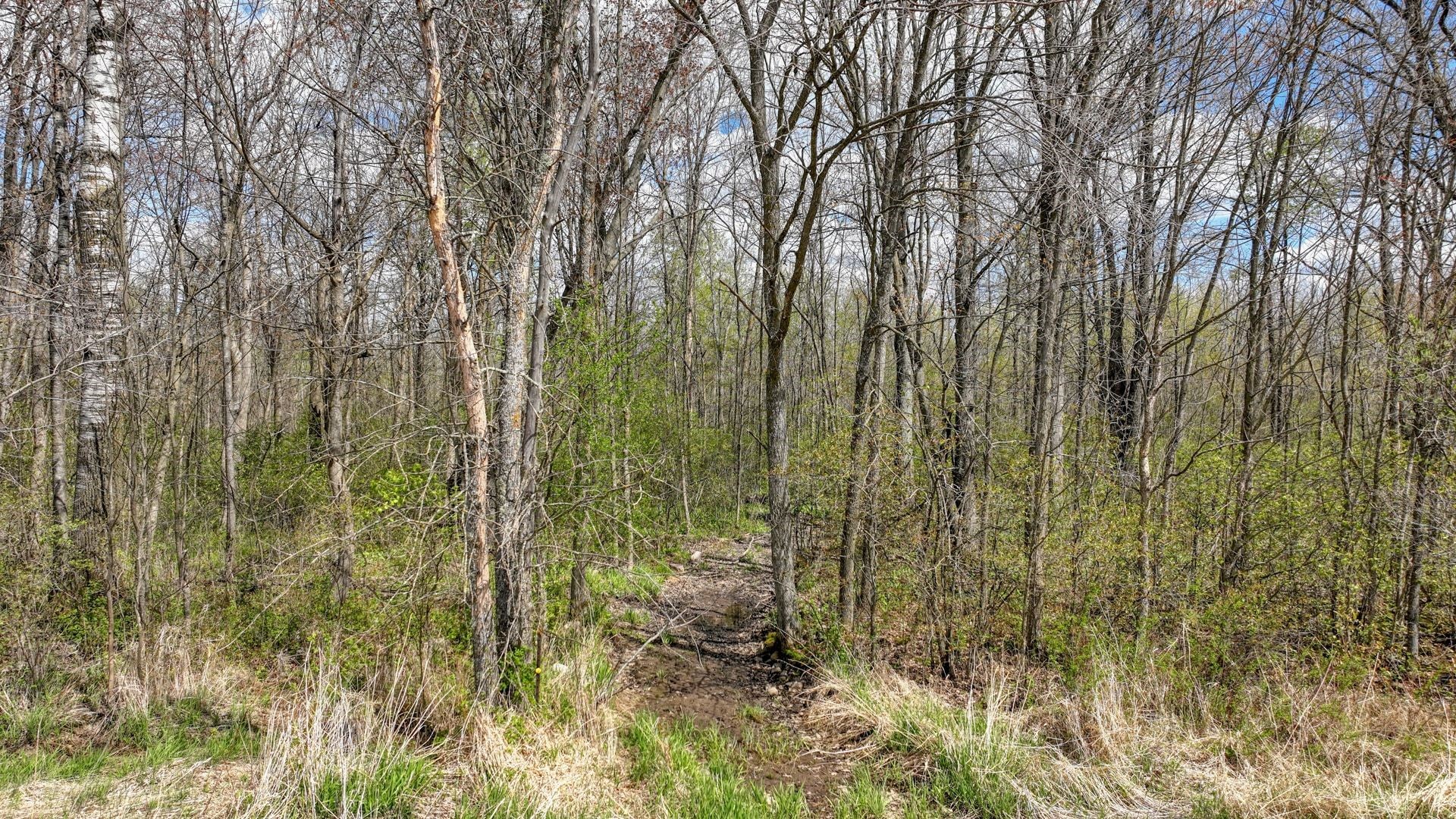27.6 Acres Off Helena Drive Property Photo 17