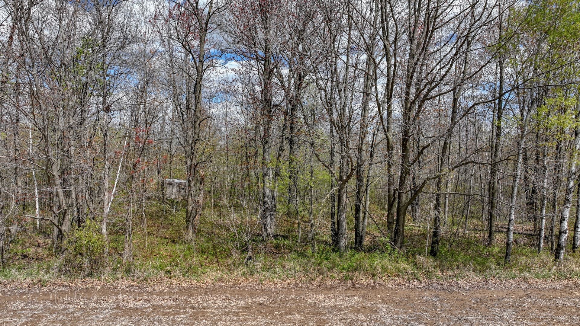 27.6 Acres Off Helena Drive Property Photo 19