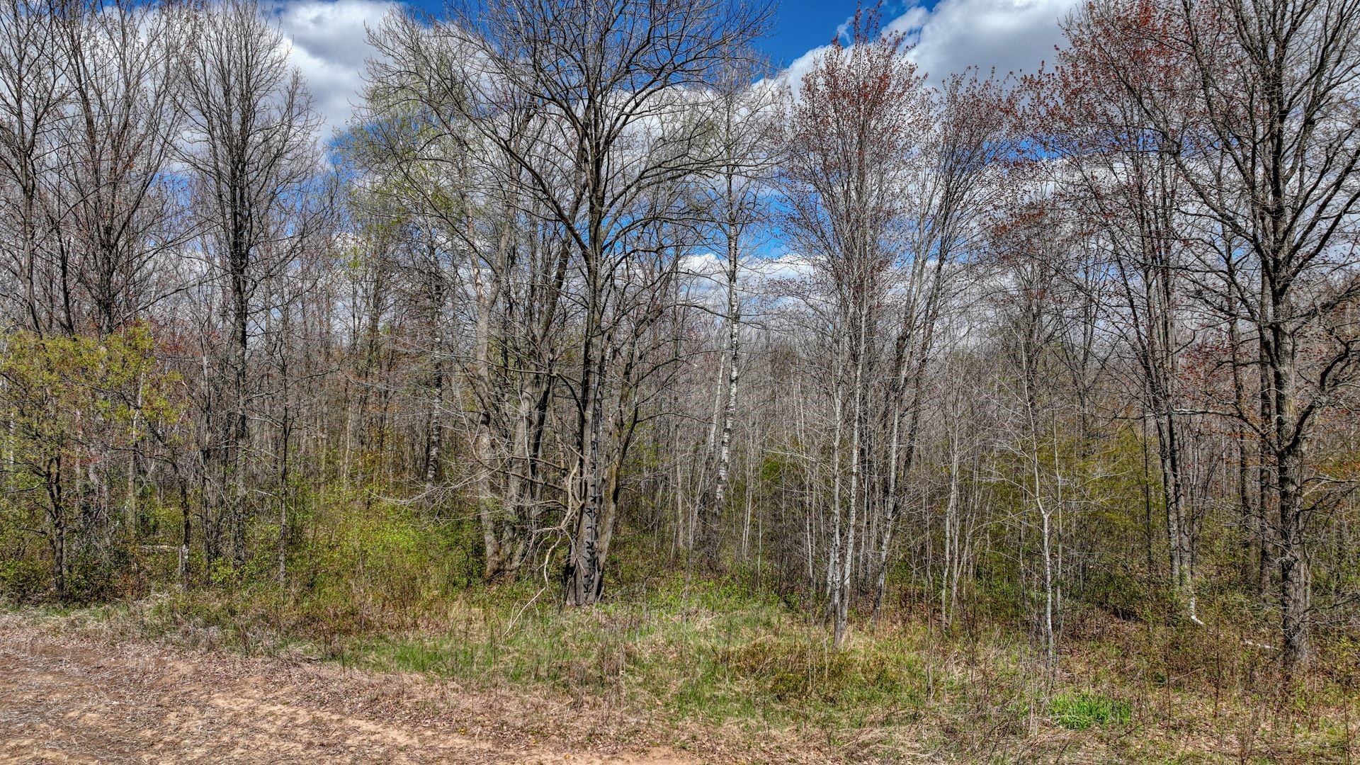 27.6 Acres Off Helena Drive Property Photo 20