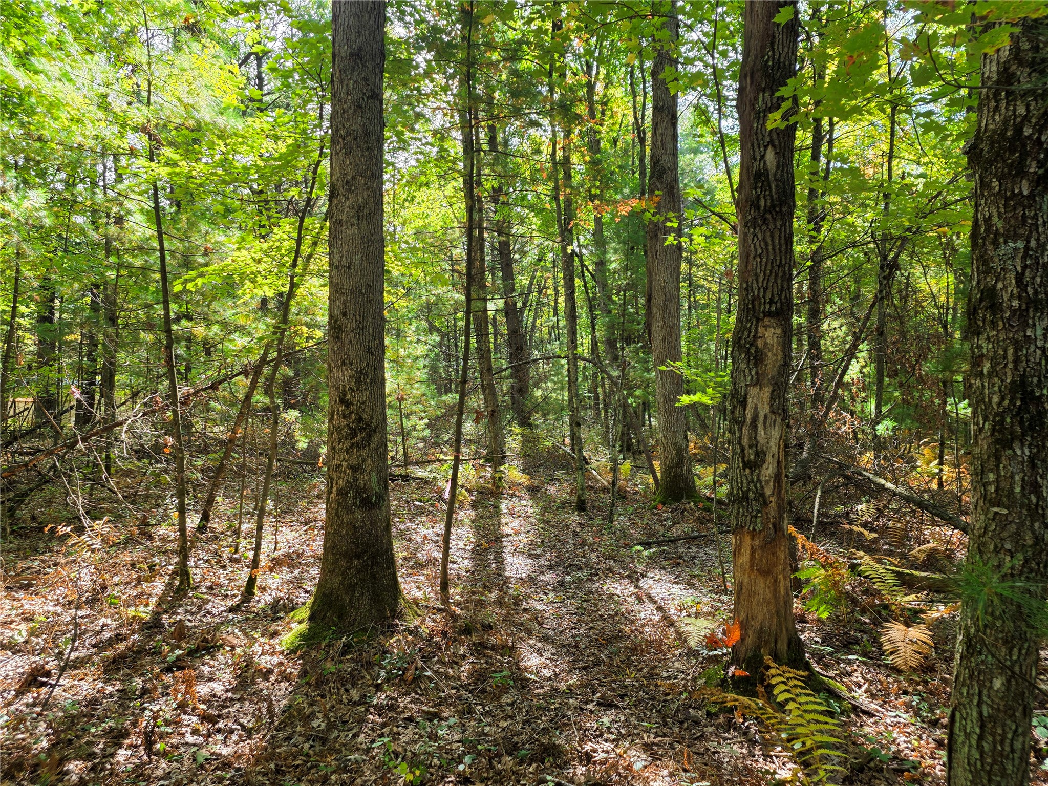 S10130 County Road H Property Photo 35