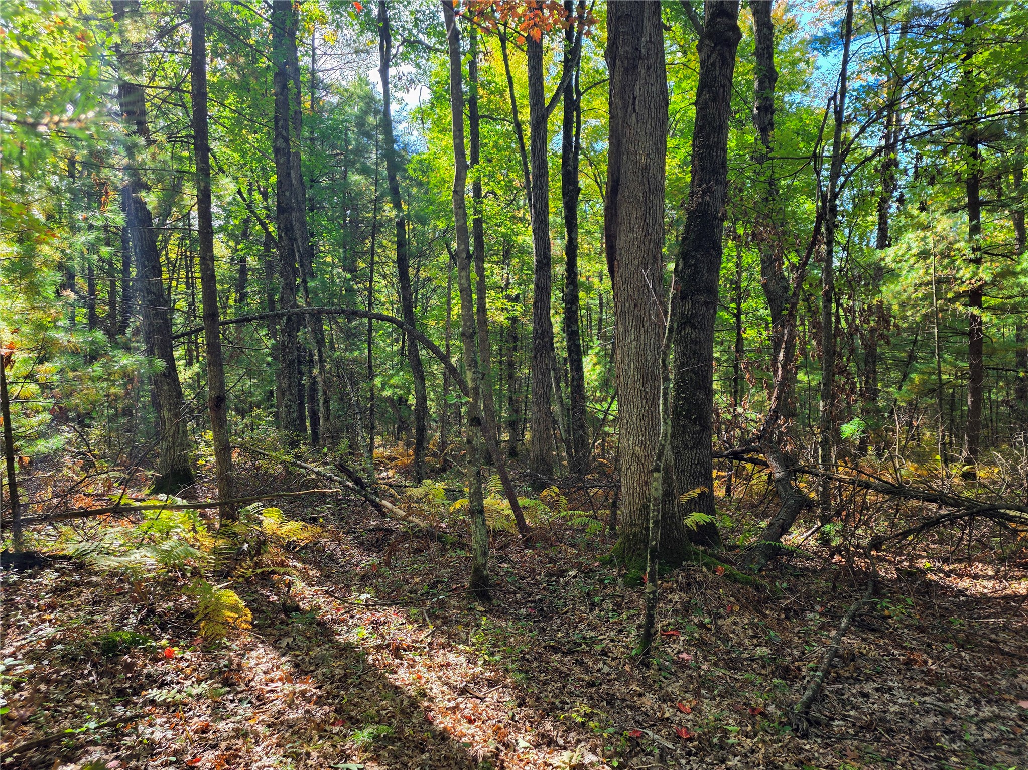 S10130 County Road H Property Photo 36