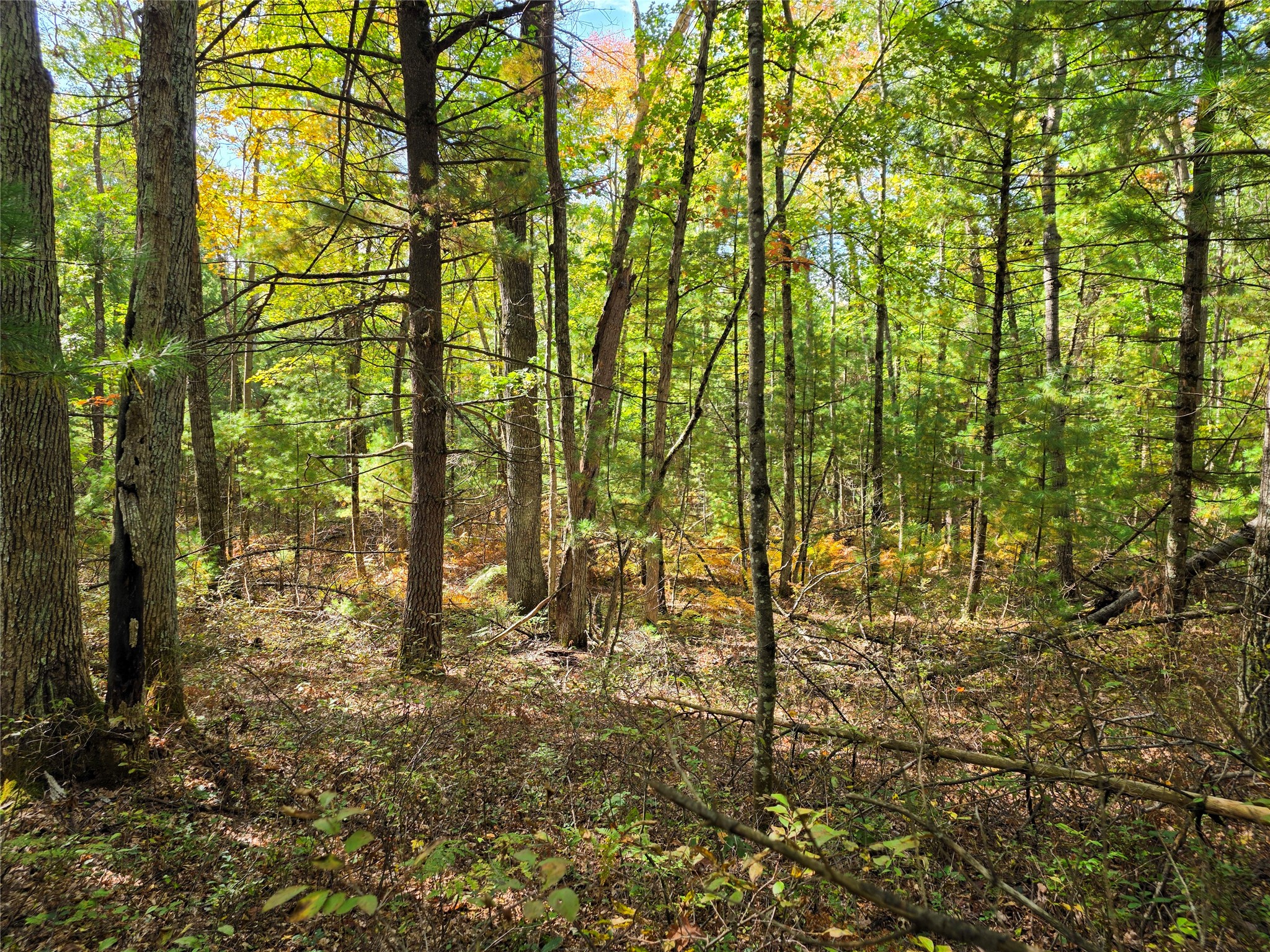 S10130 County Road H Property Photo 37
