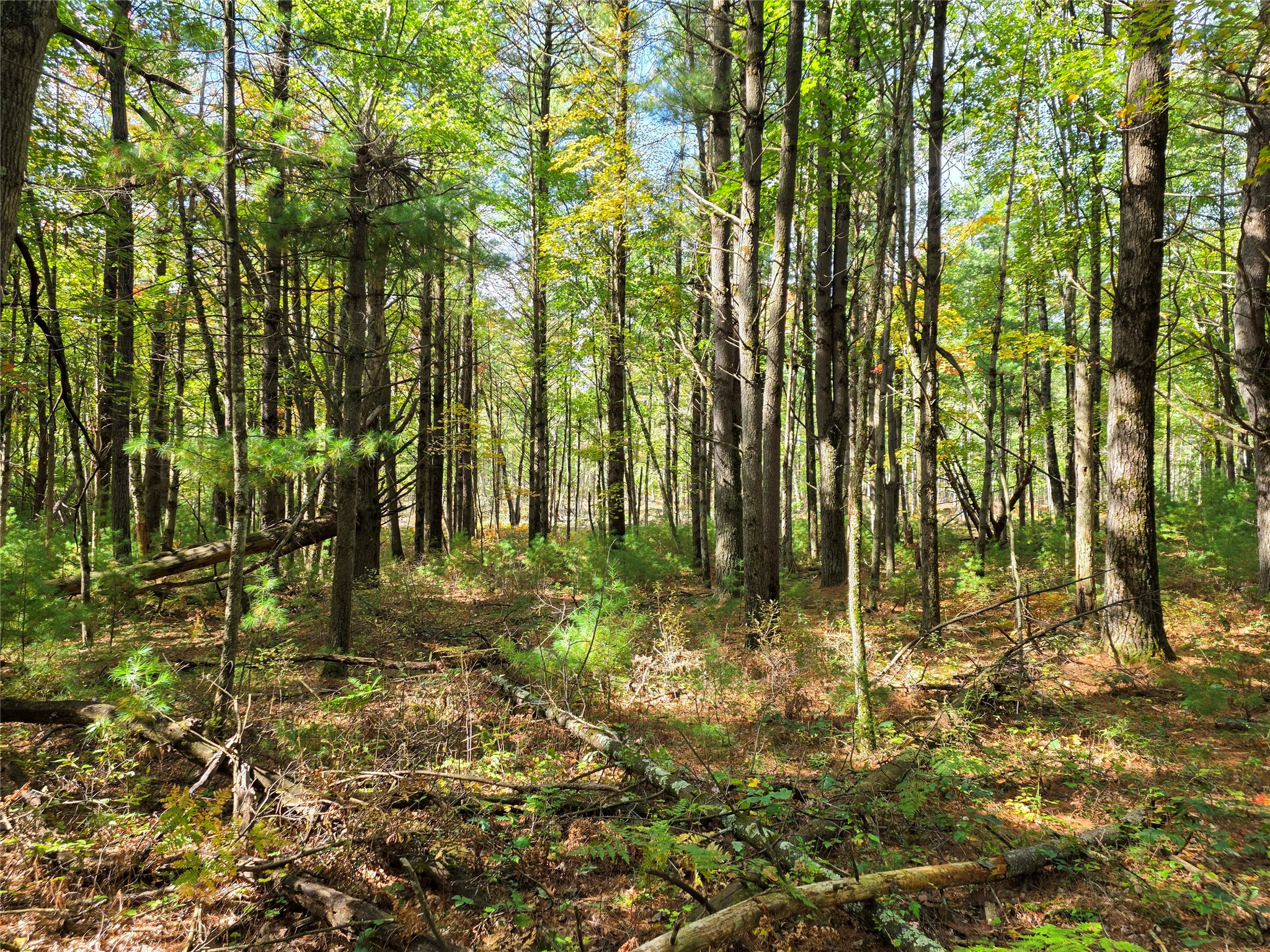 S10130 County Road H Property Photo 38