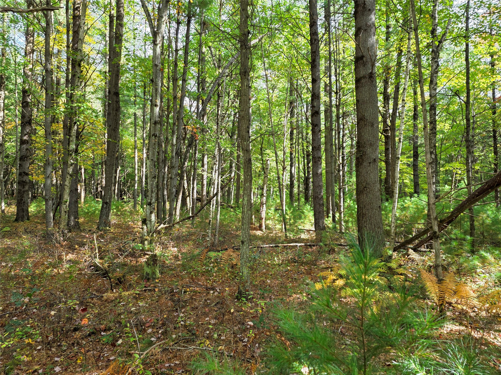S10130 County Road H Property Photo 39