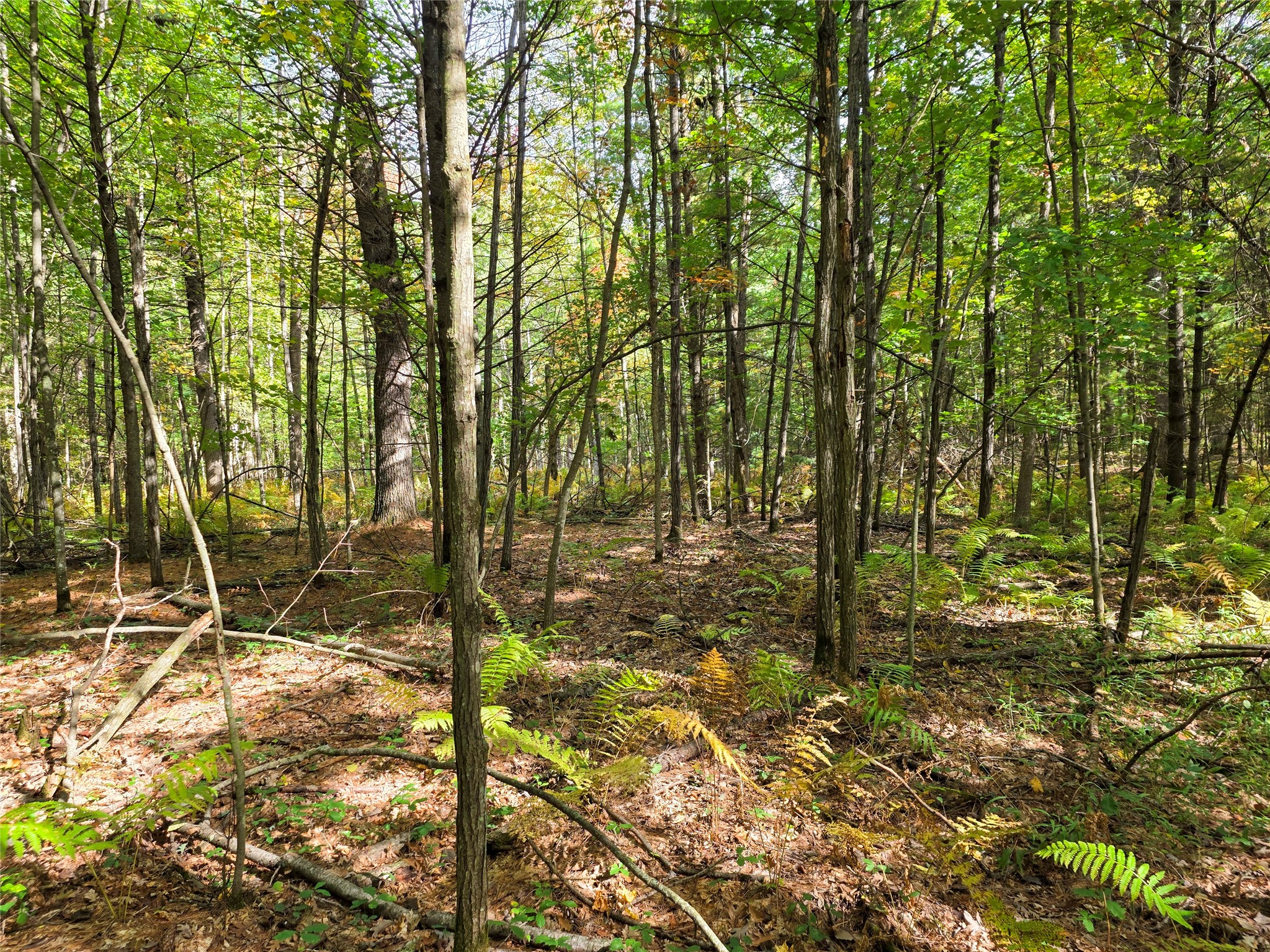S10130 County Road H Property Photo 40