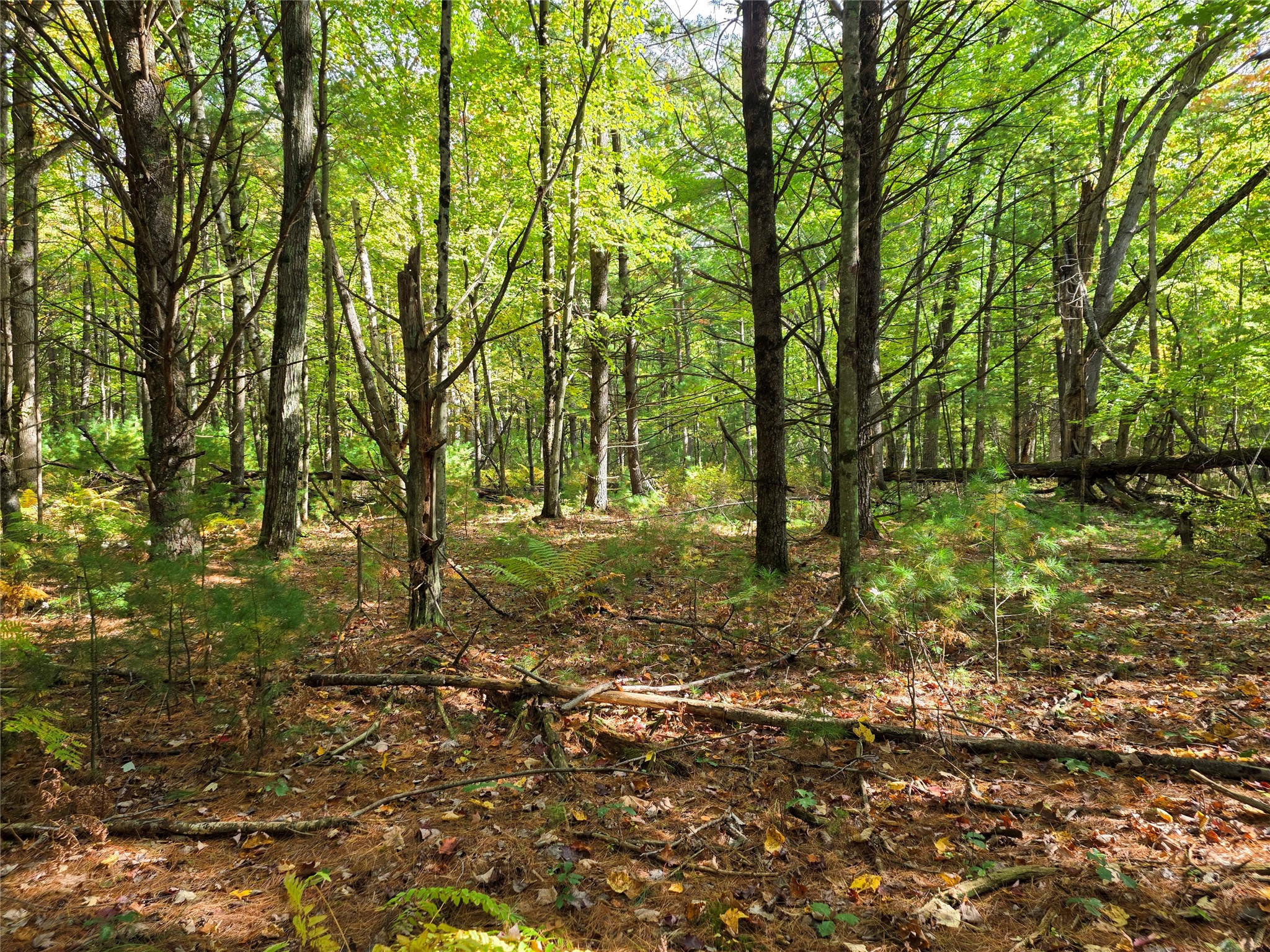 S10130 County Road H Property Photo 41